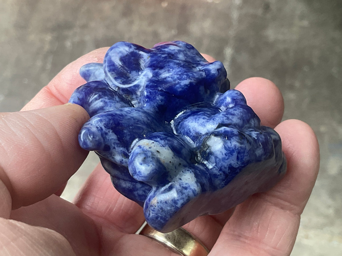 108g Sodalite Nine Tailed Fox Carving