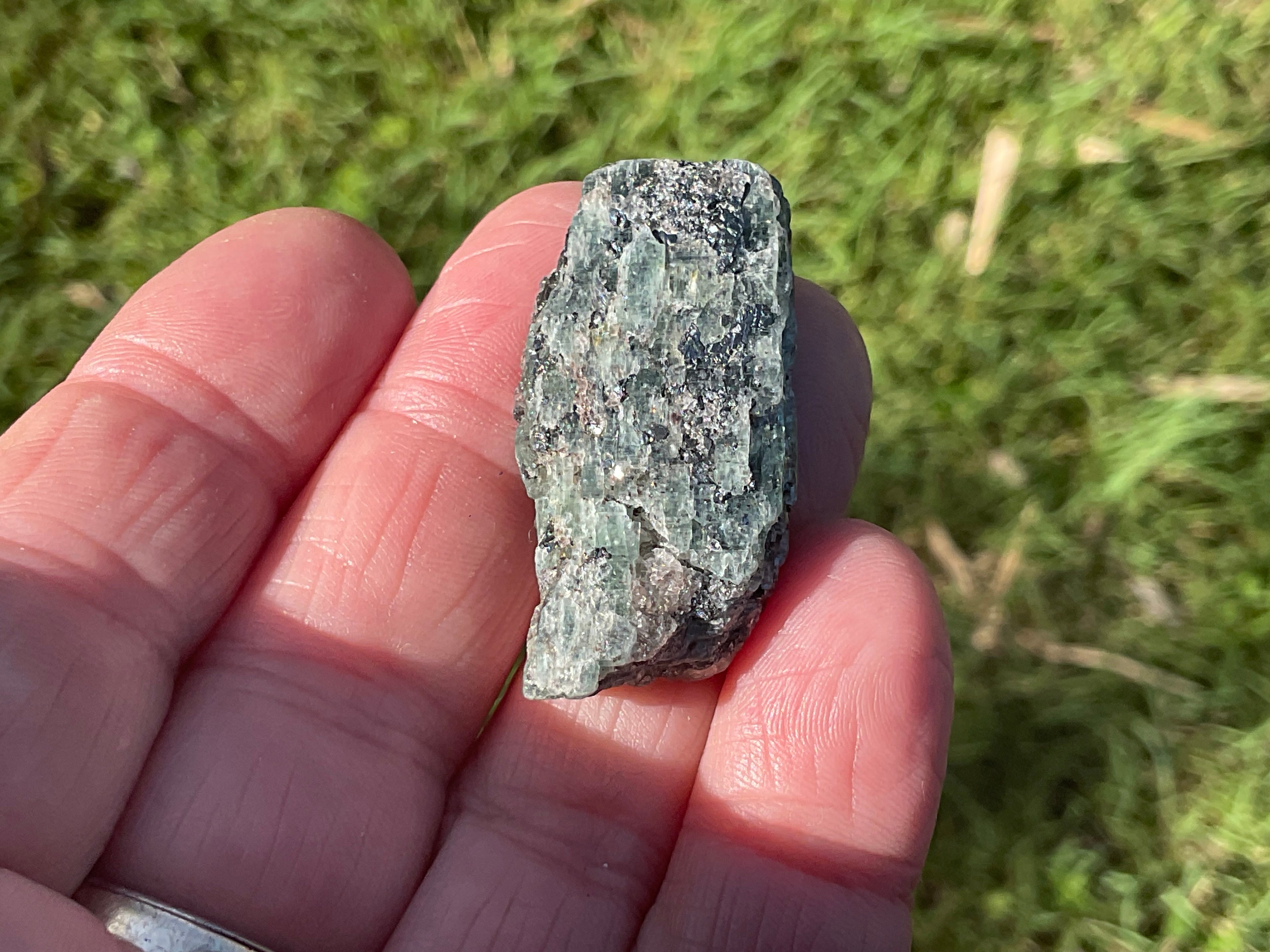 18g Dark Green Pakistan Kyanite + Rough 2C