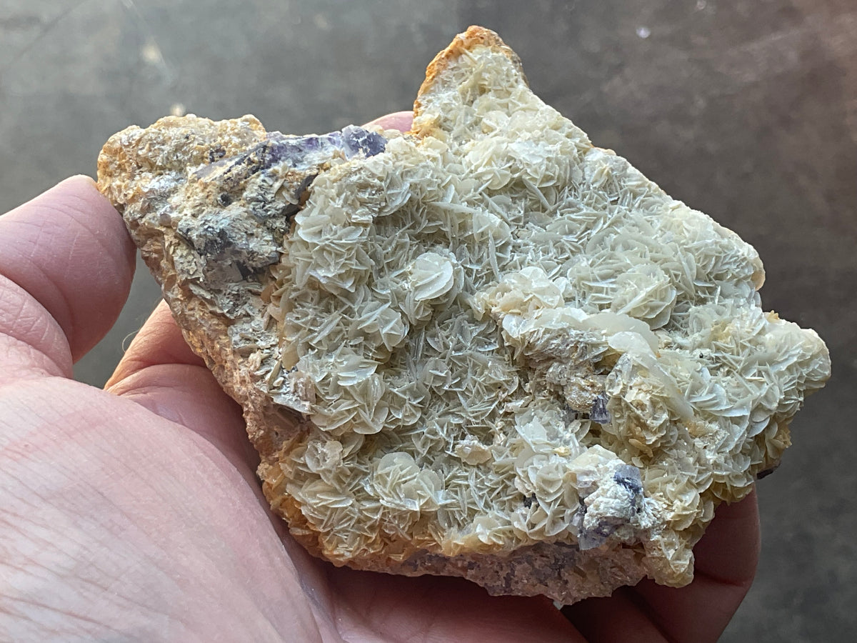 368g Phantom Cubic Fluorite with Calcite and Siderite Specimen 2C