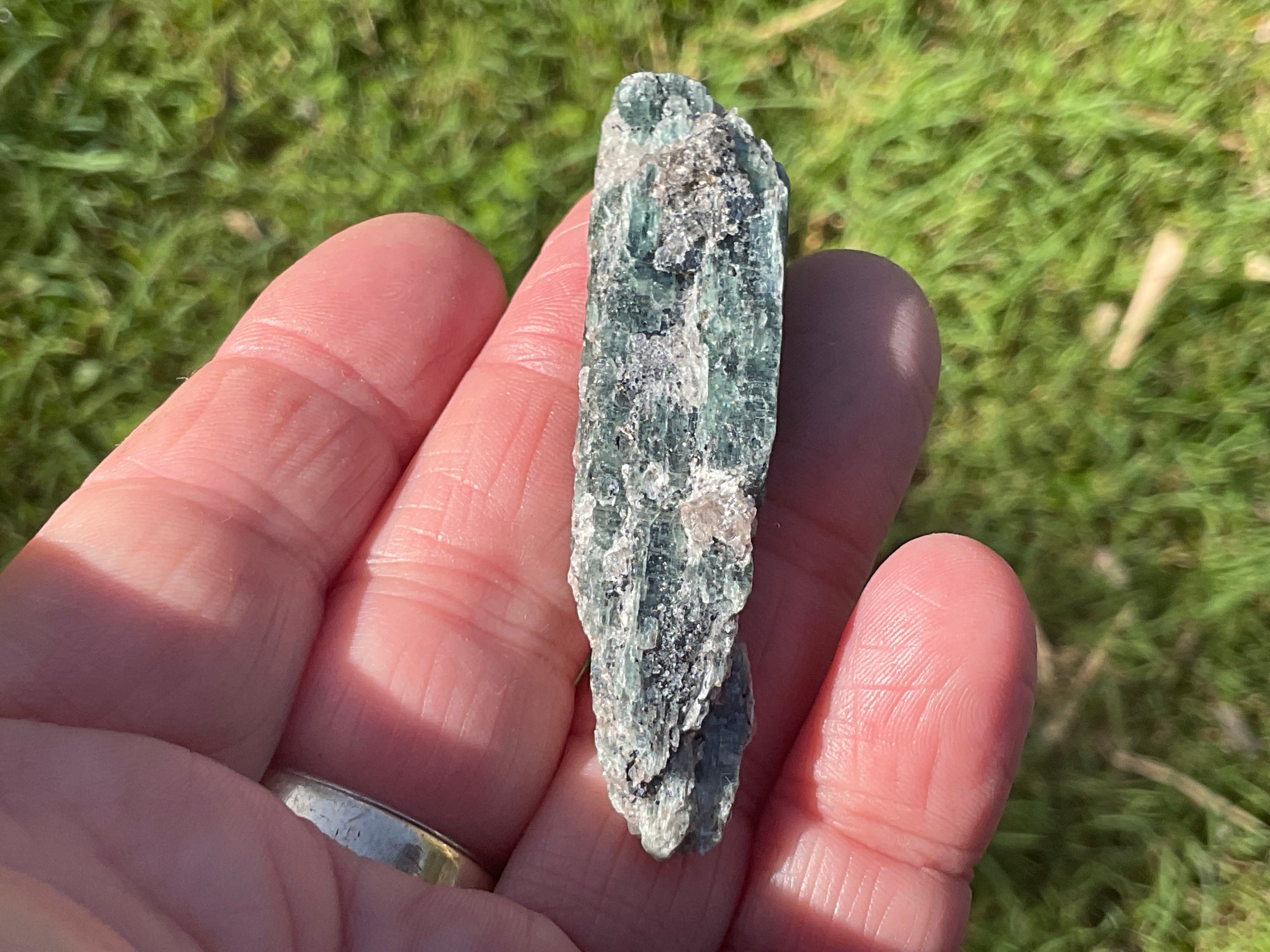 20g Dark Green Pakistan Kyanite + Rough 3A