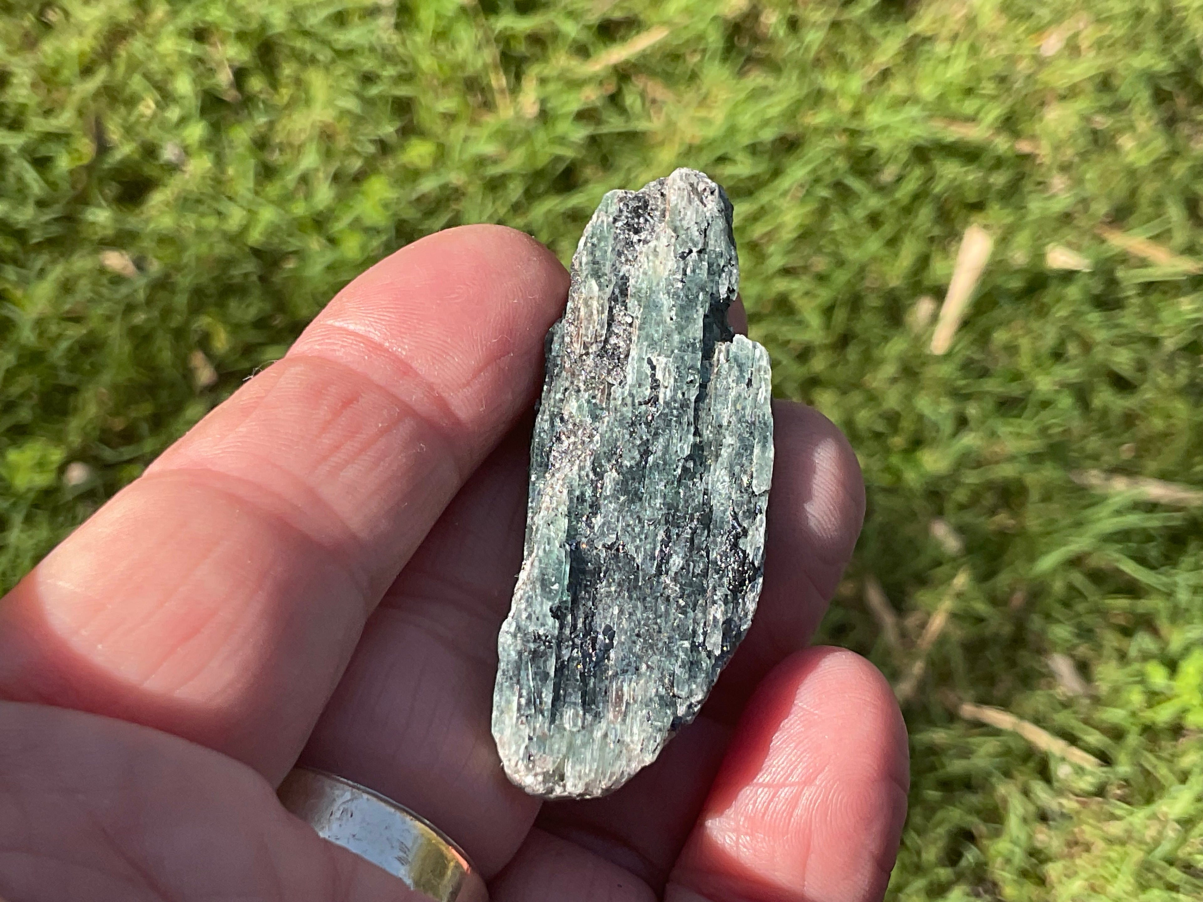 20g Dark Green Pakistan Kyanite + Rough 3B