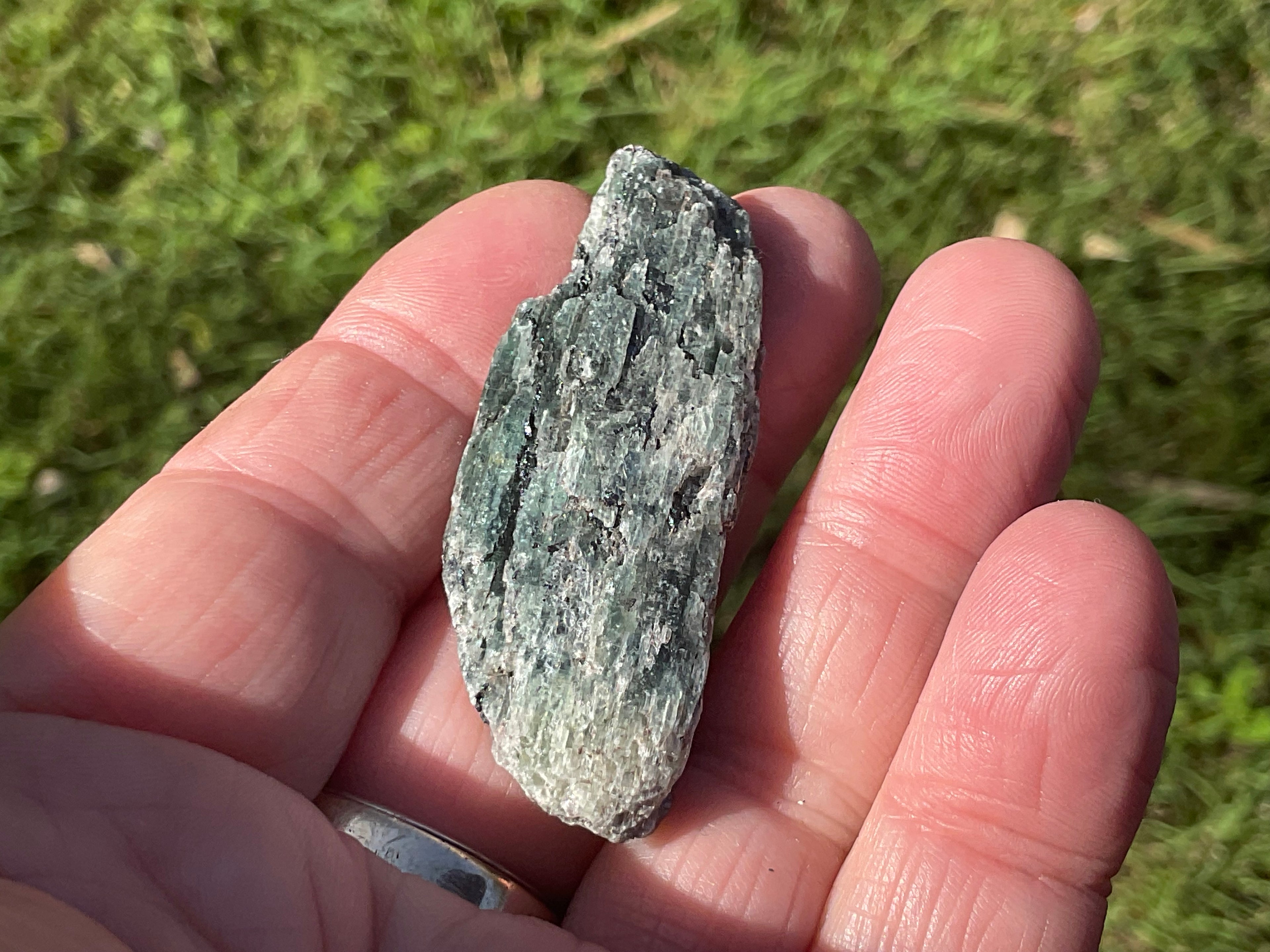 20g Dark Green Pakistan Kyanite + Rough 3B