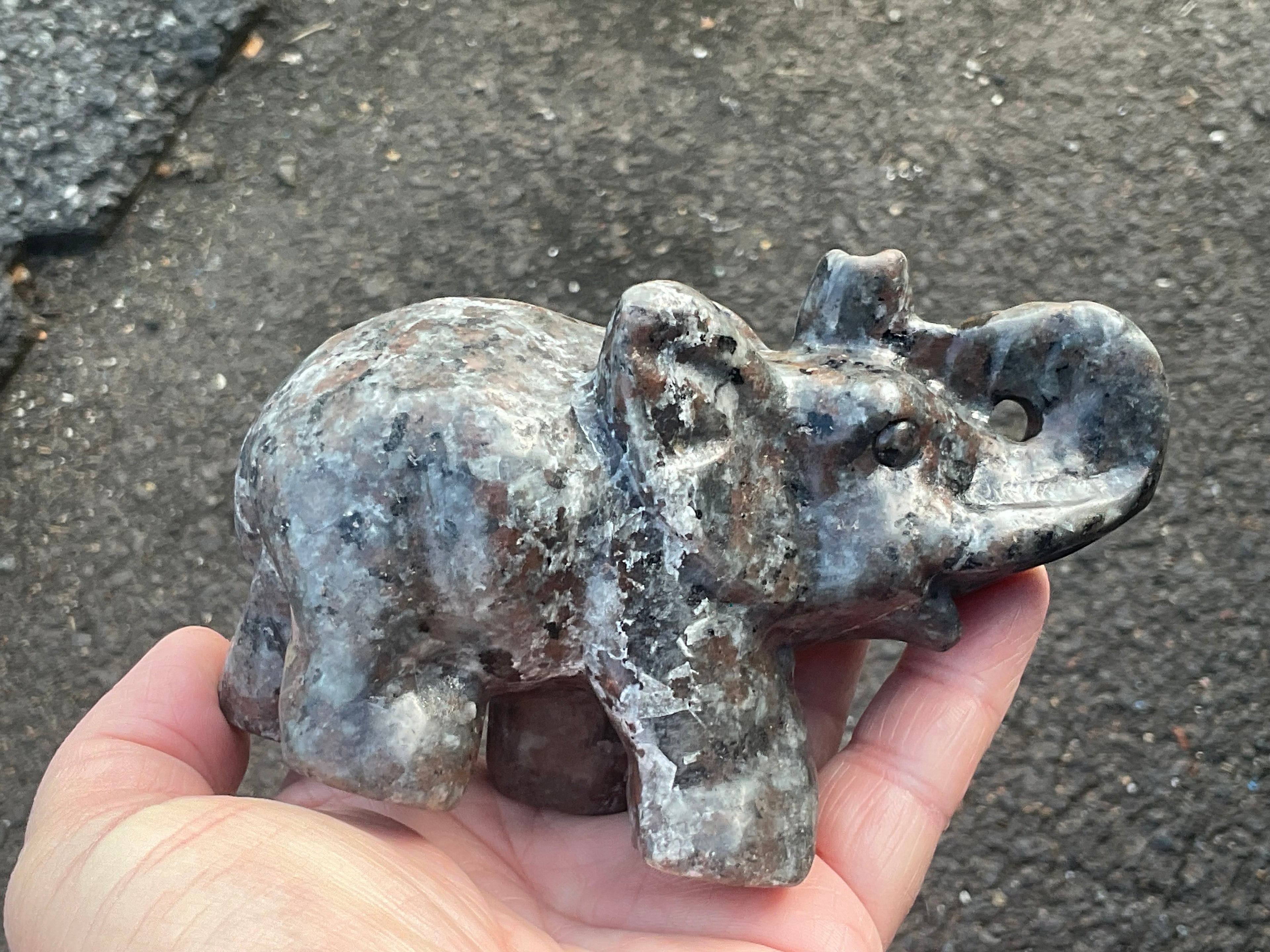 490g Syenite with Sodalite “Yooperlite” Large Carved Elephant A