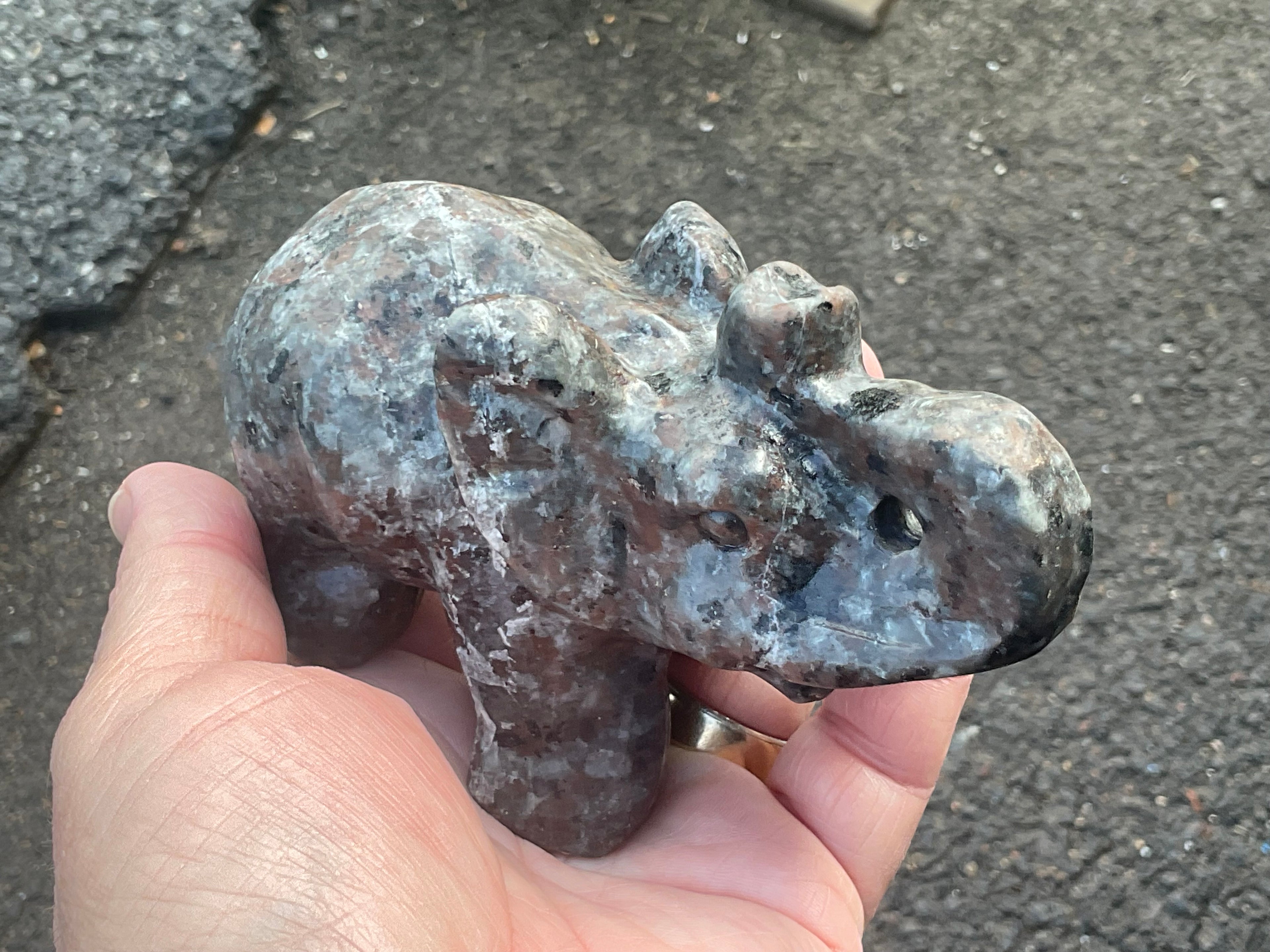 490g Syenite with Sodalite “Yooperlite” Large Carved Elephant A