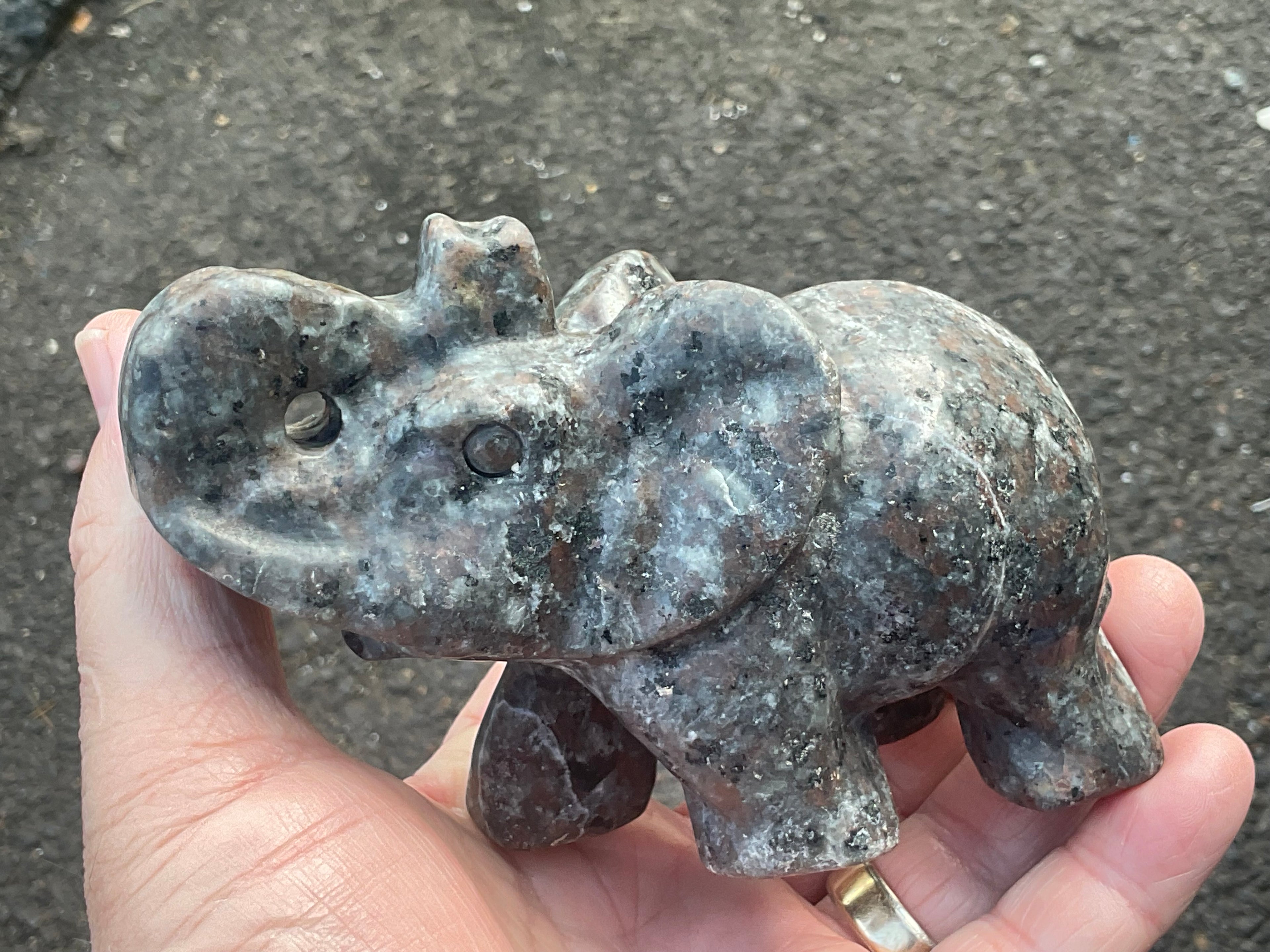 490g Syenite with Sodalite “Yooperlite” Large Carved Elephant A