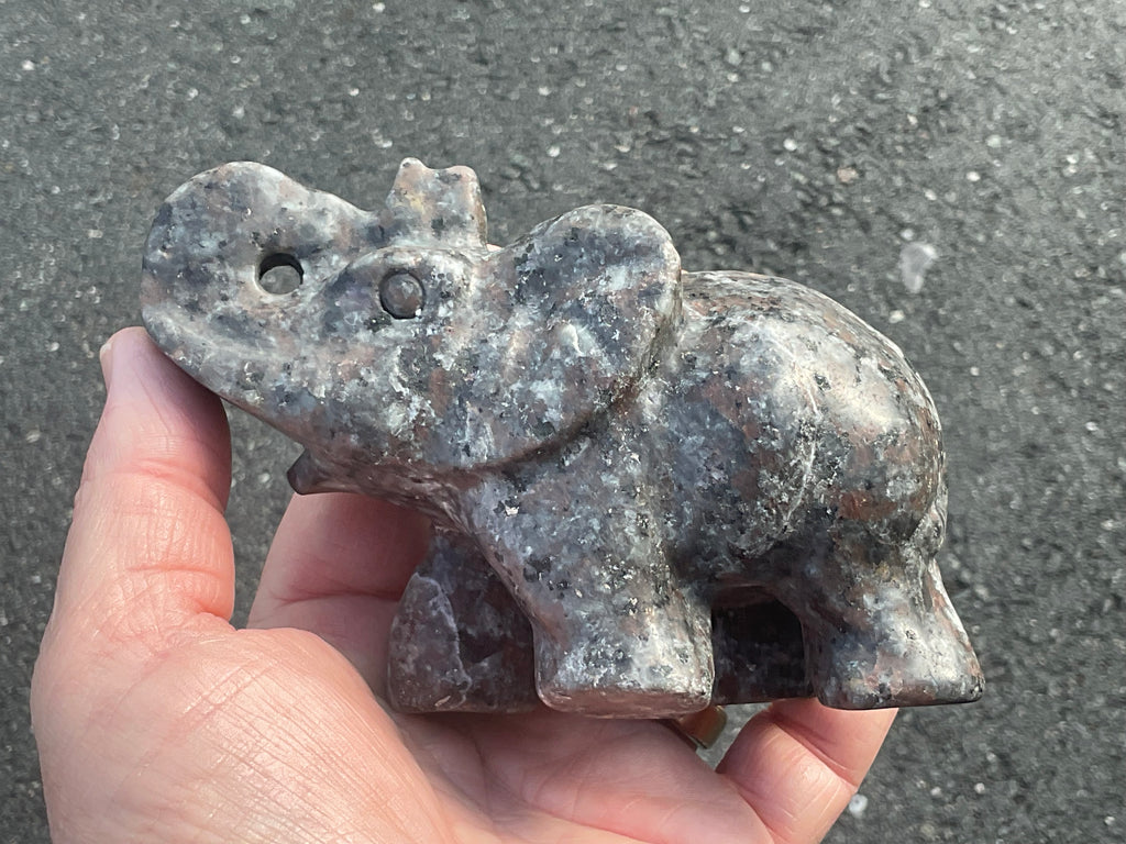 490g Syenite with Sodalite “Yooperlite” Large Carved Elephant A
