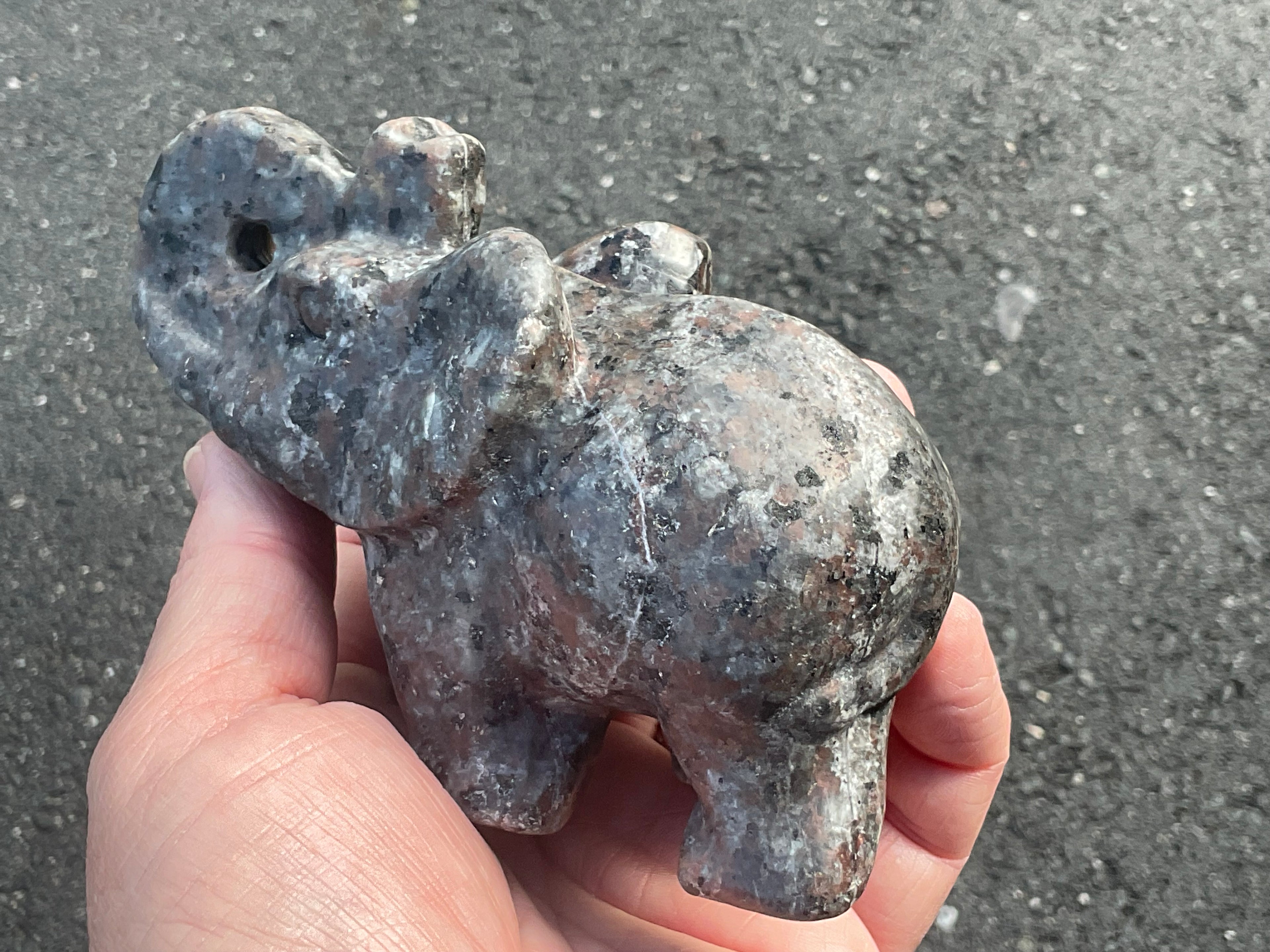 490g Syenite with Sodalite “Yooperlite” Large Carved Elephant A