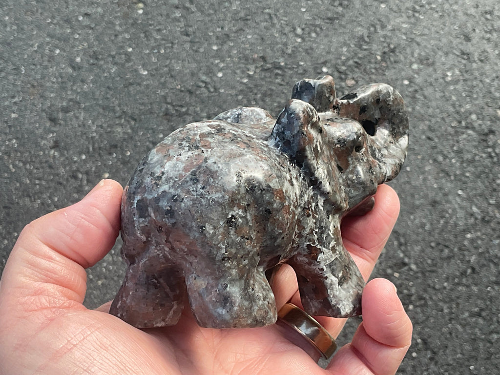 490g Syenite with Sodalite “Yooperlite” Large Carved Elephant A