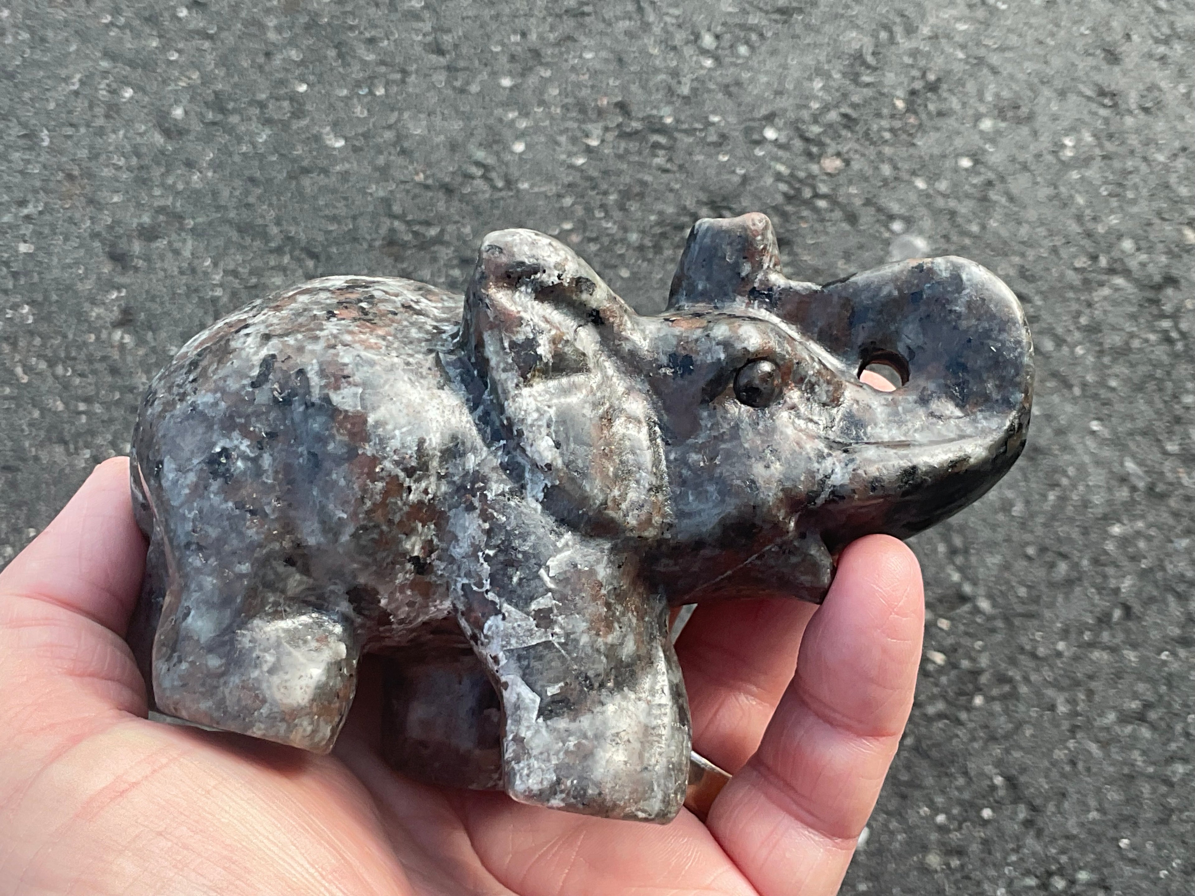 490g Syenite with Sodalite “Yooperlite” Large Carved Elephant A