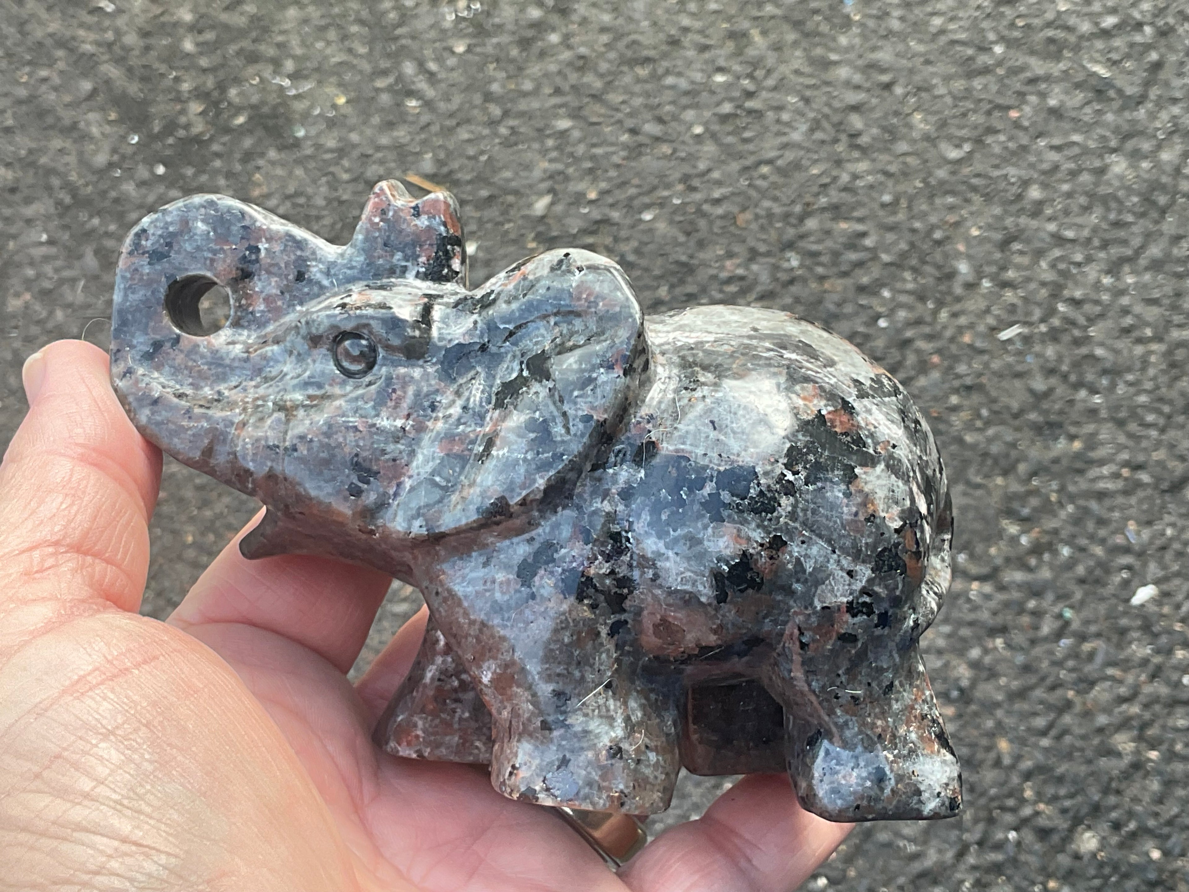 518g Syenite with Sodalite ‘Yooperlite’ Large Elephant Carving B