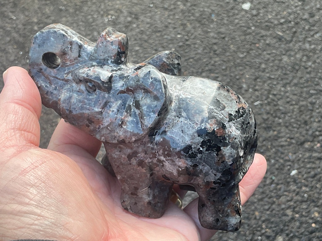 518g Syenite with Sodalite ‘Yooperlite’ Large Elephant Carving B