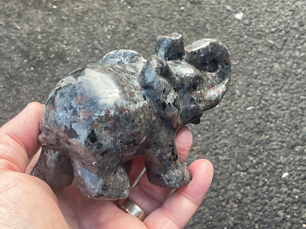 518g Syenite with Sodalite ‘Yooperlite’ Large Elephant Carving B