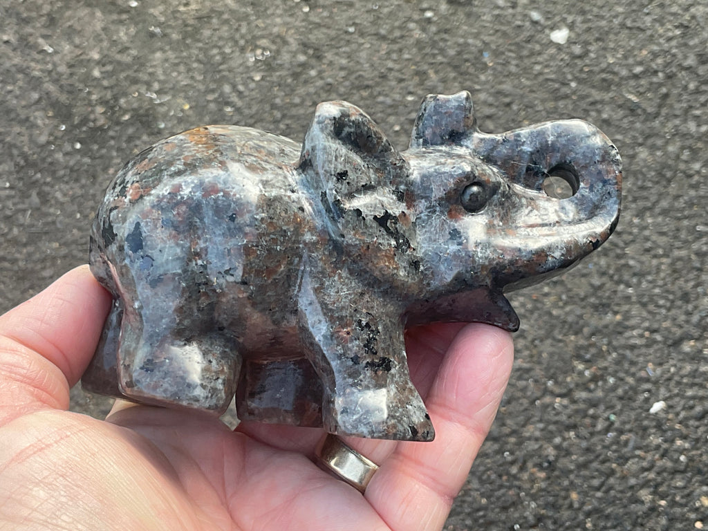 518g Syenite with Sodalite ‘Yooperlite’ Large Elephant Carving B