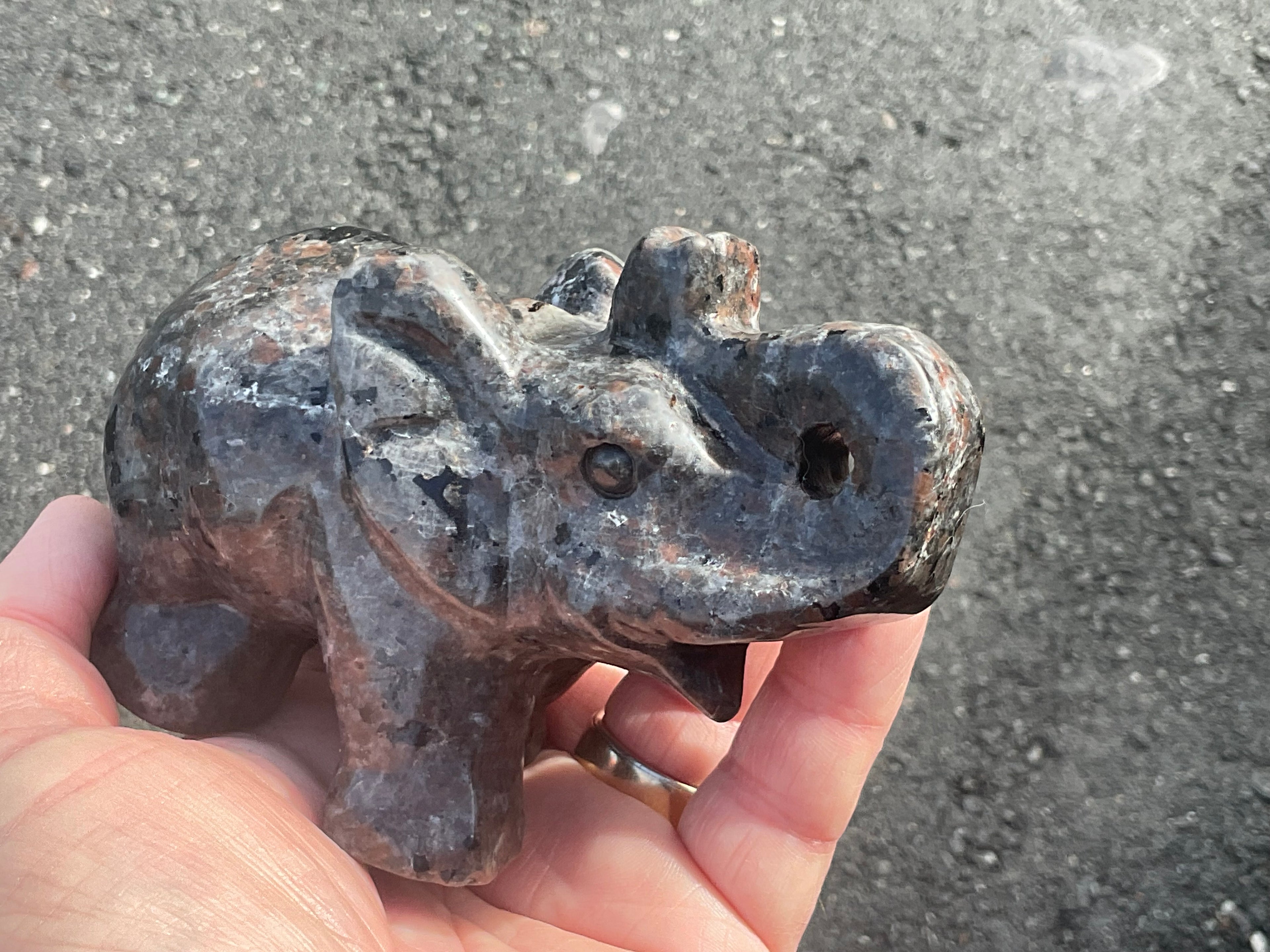 518g Syenite with Sodalite ‘Yooperlite’ Large Elephant Carving B