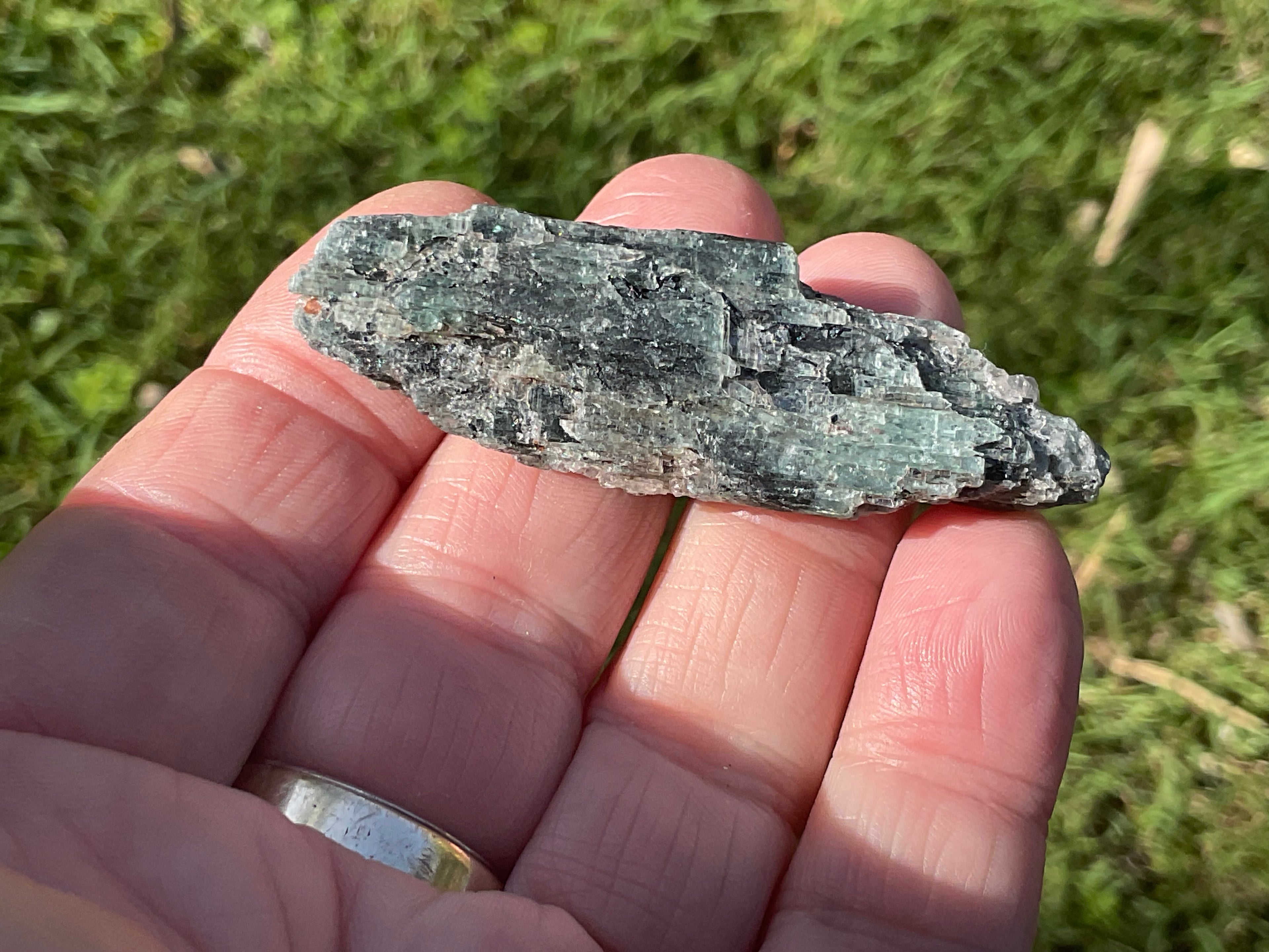 20g Dark Green Pakistan Kyanite + Rough 4B
