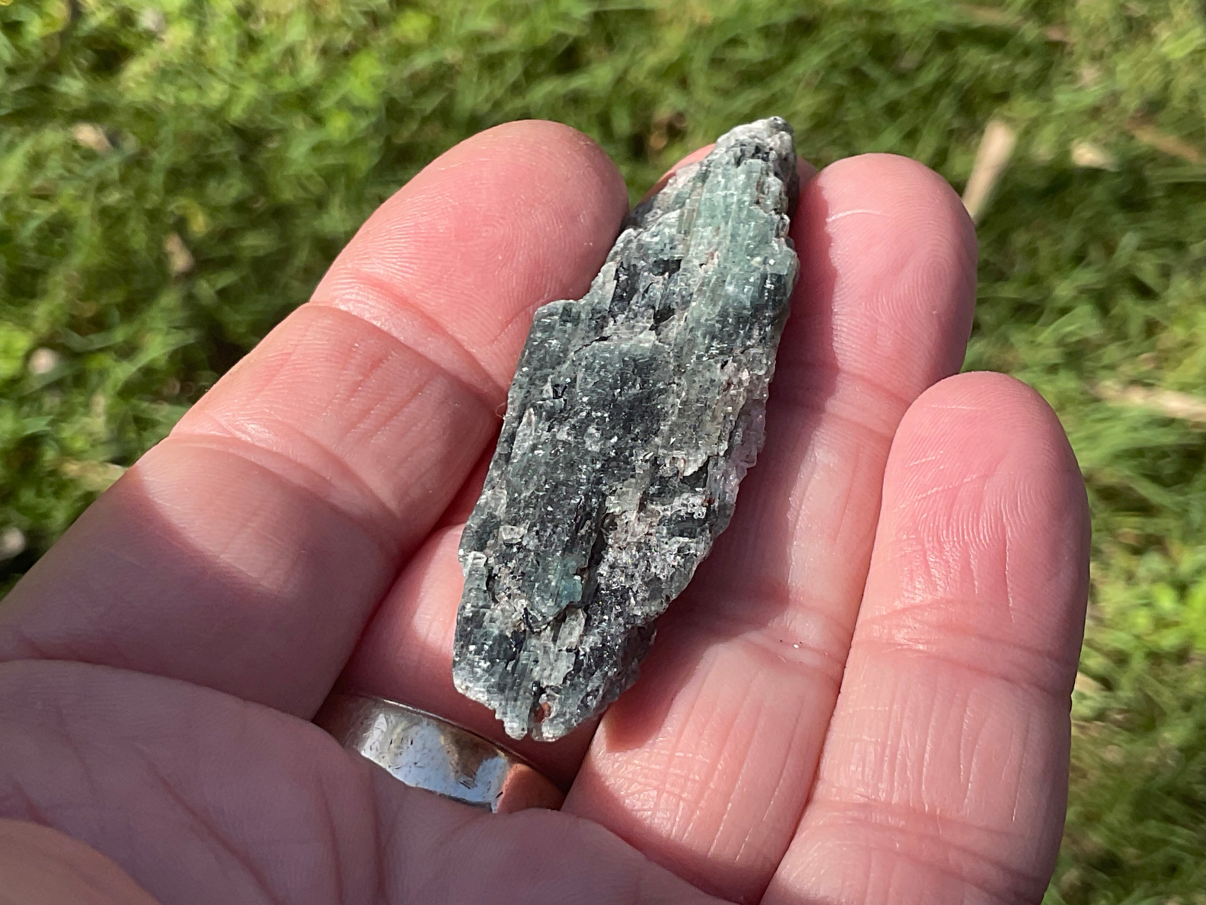 20g Dark Green Pakistan Kyanite + Rough 4B