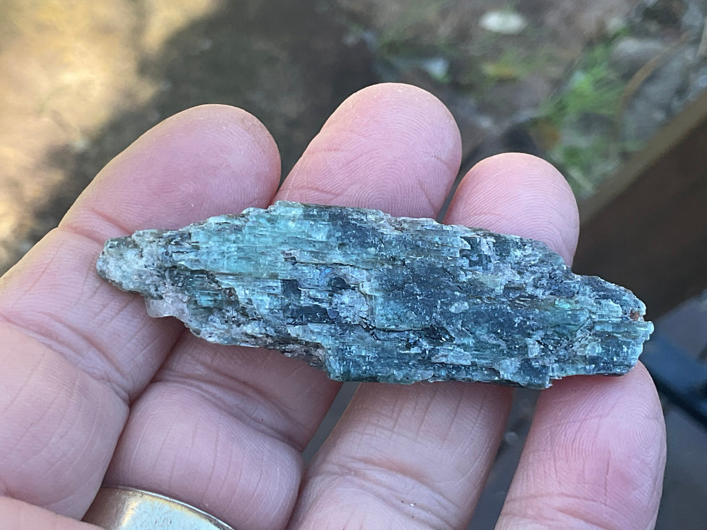 20g Dark Green Pakistan Kyanite + Rough 4B