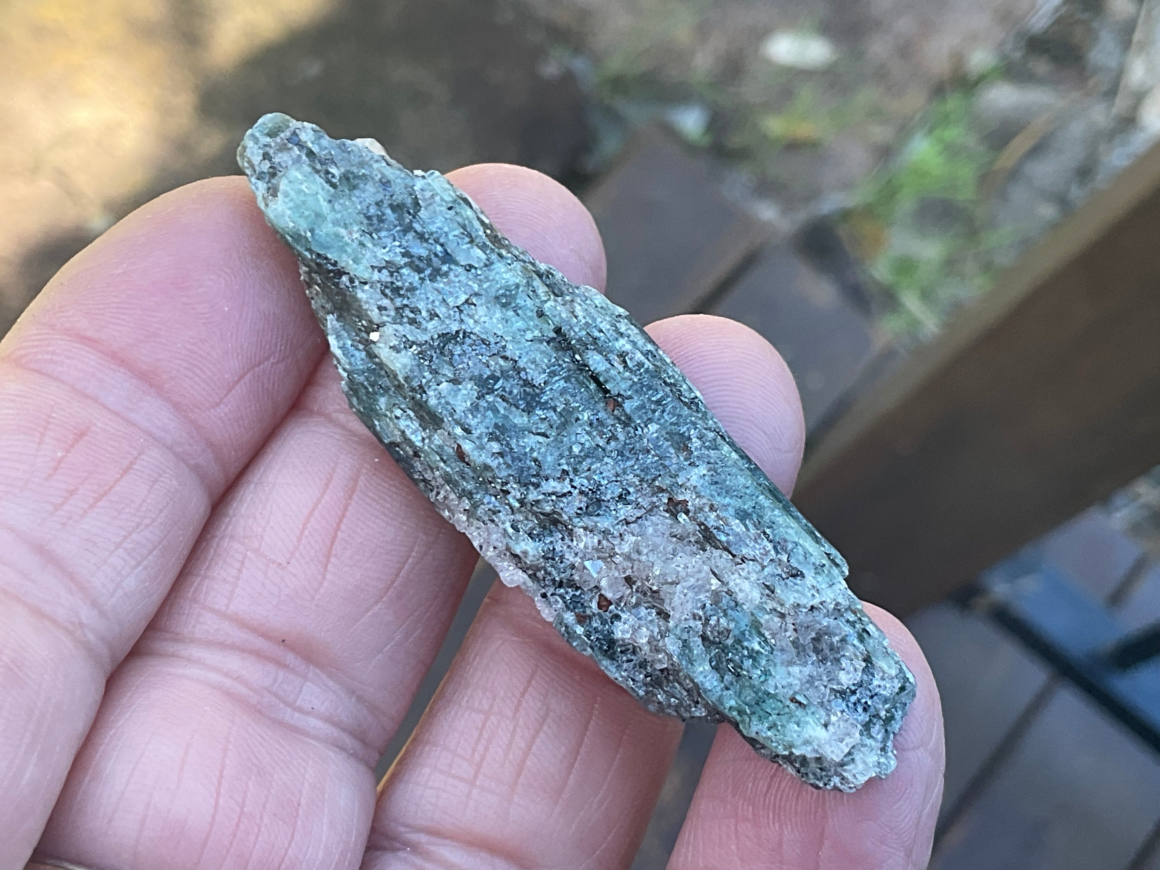 20g Dark Green Pakistan Kyanite + Rough 4B