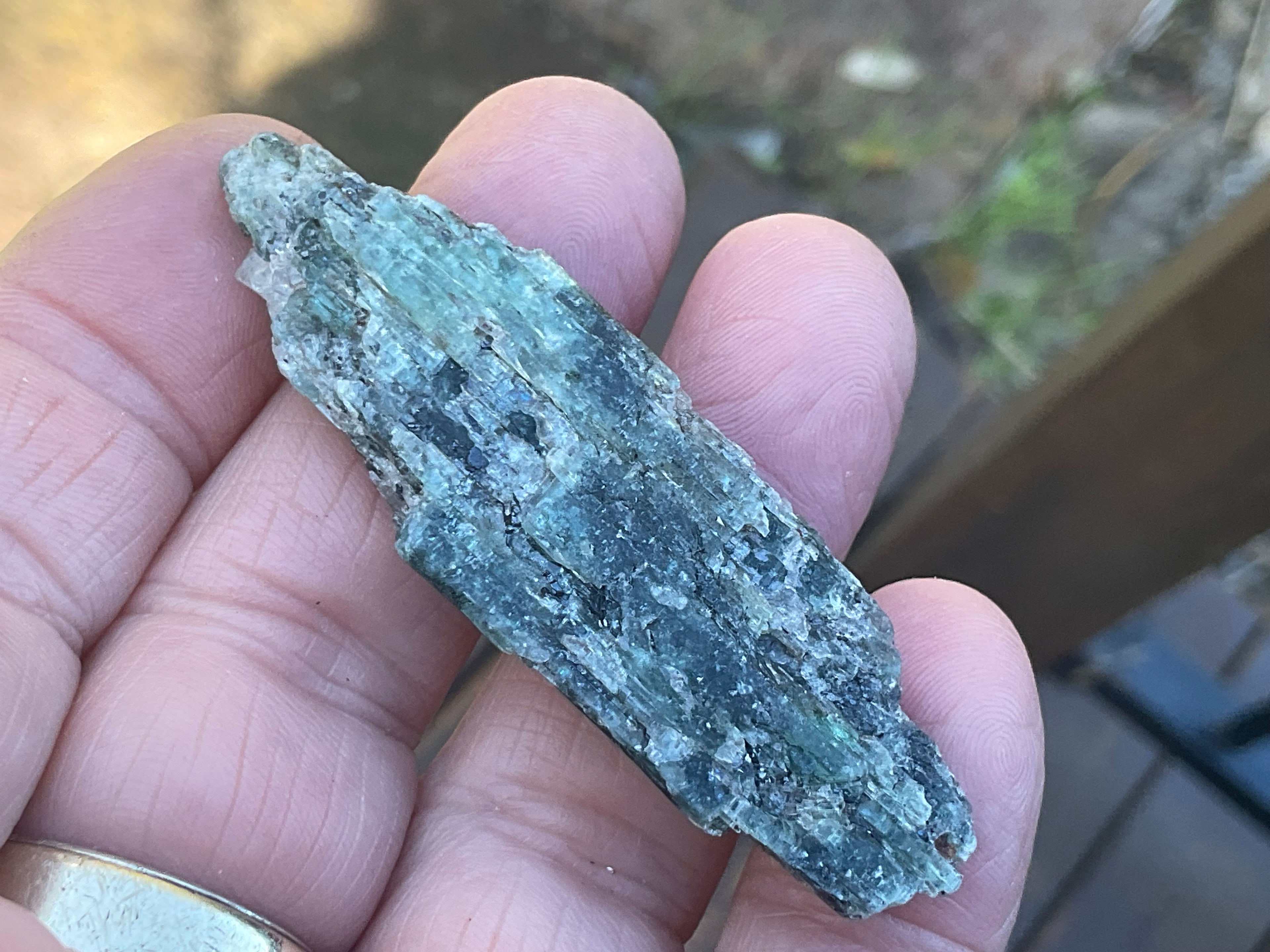 20g Dark Green Pakistan Kyanite + Rough 4B