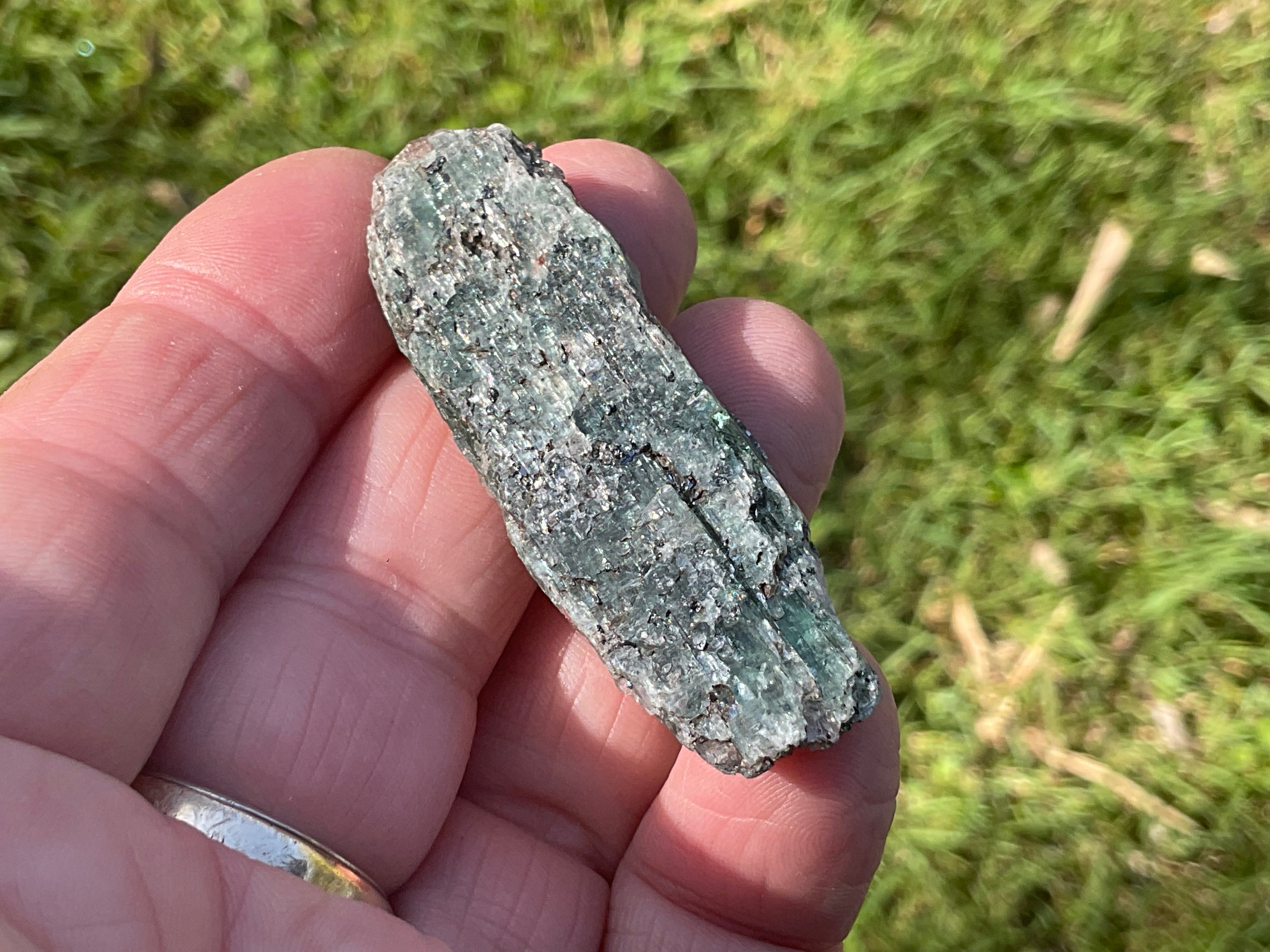 20g Dark Green Pakistan Kyanite + Rough 4C