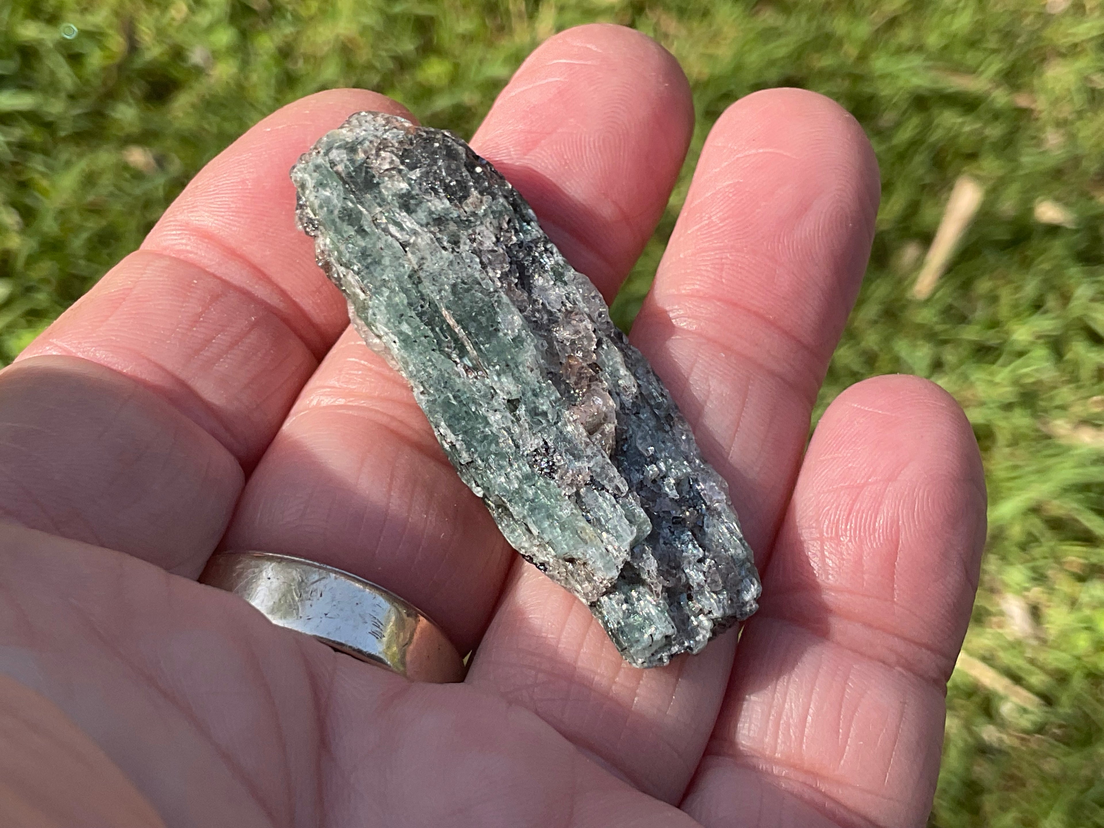 20g Dark Green Pakistan Kyanite + Rough 4C