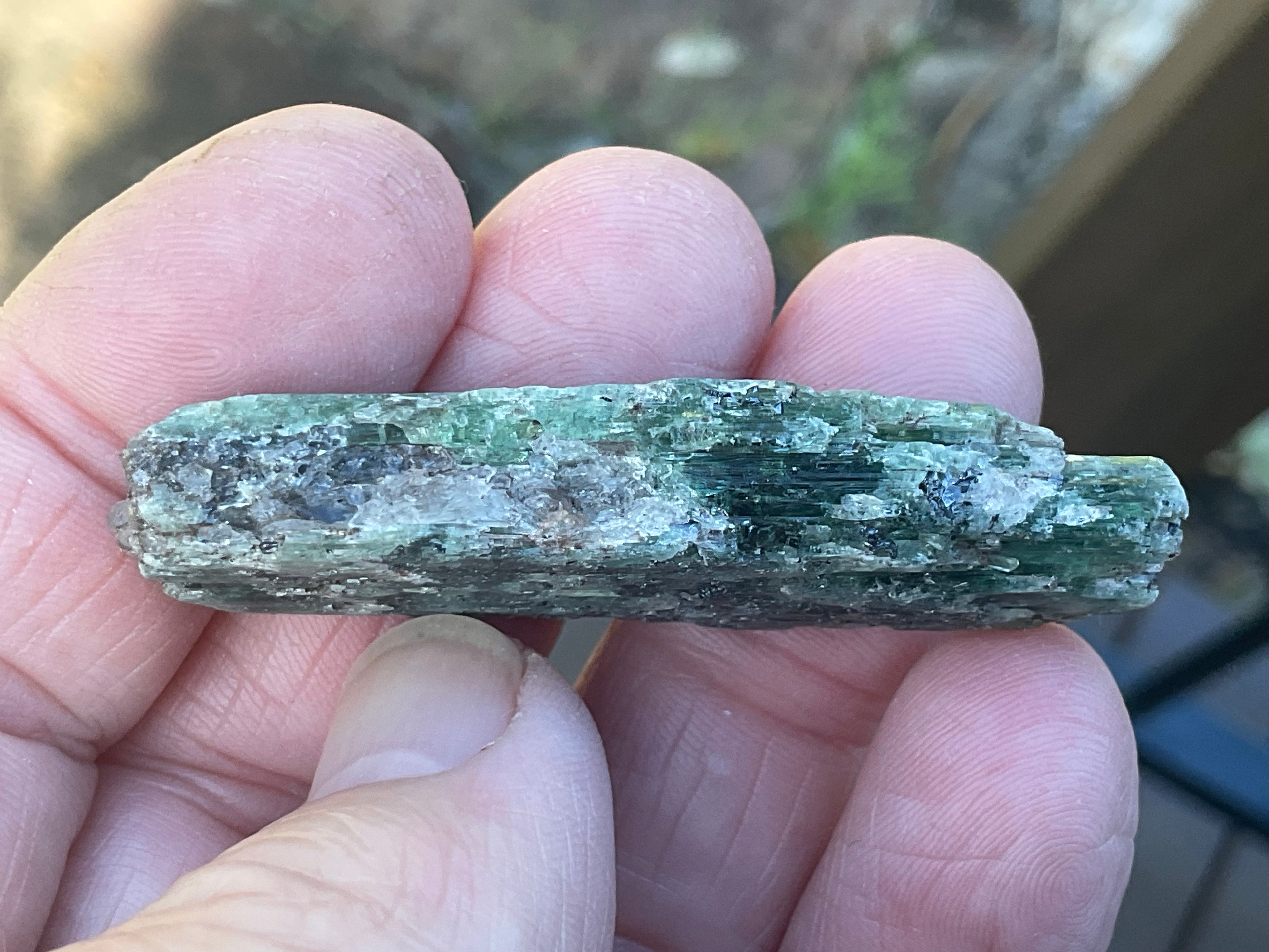 20g Dark Green Pakistan Kyanite + Rough 4C