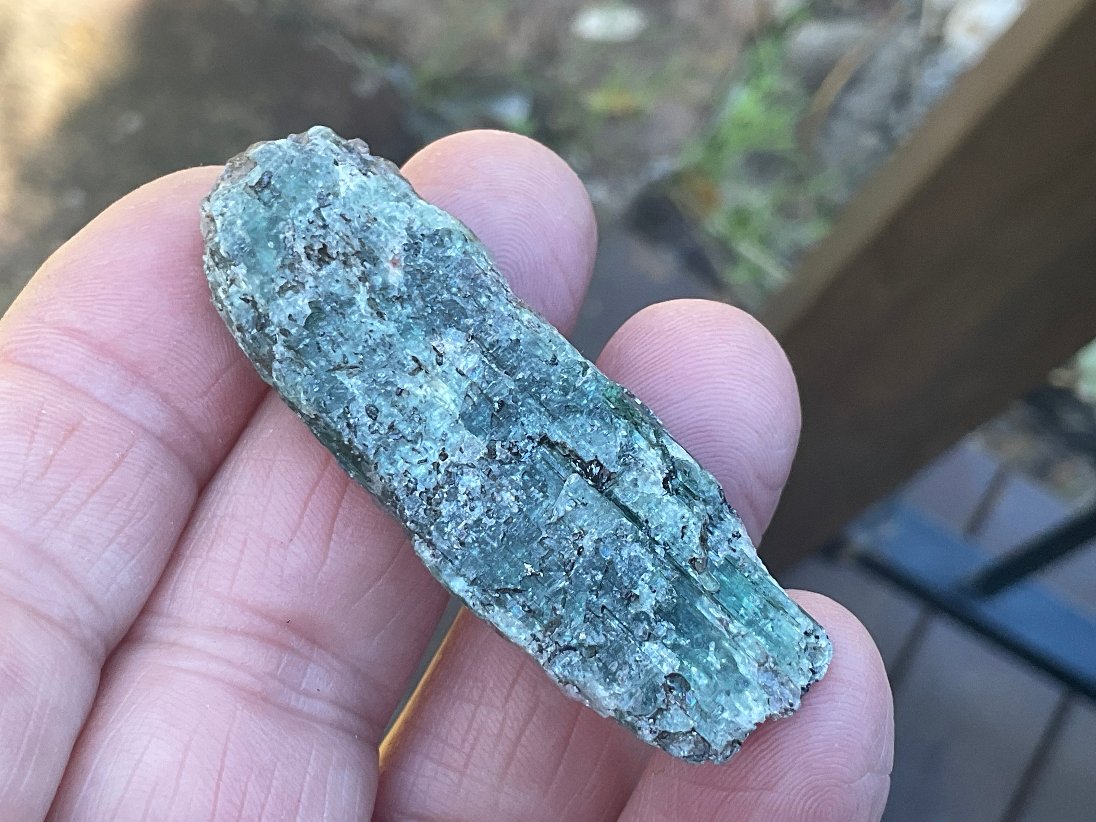 20g Dark Green Pakistan Kyanite + Rough 4C