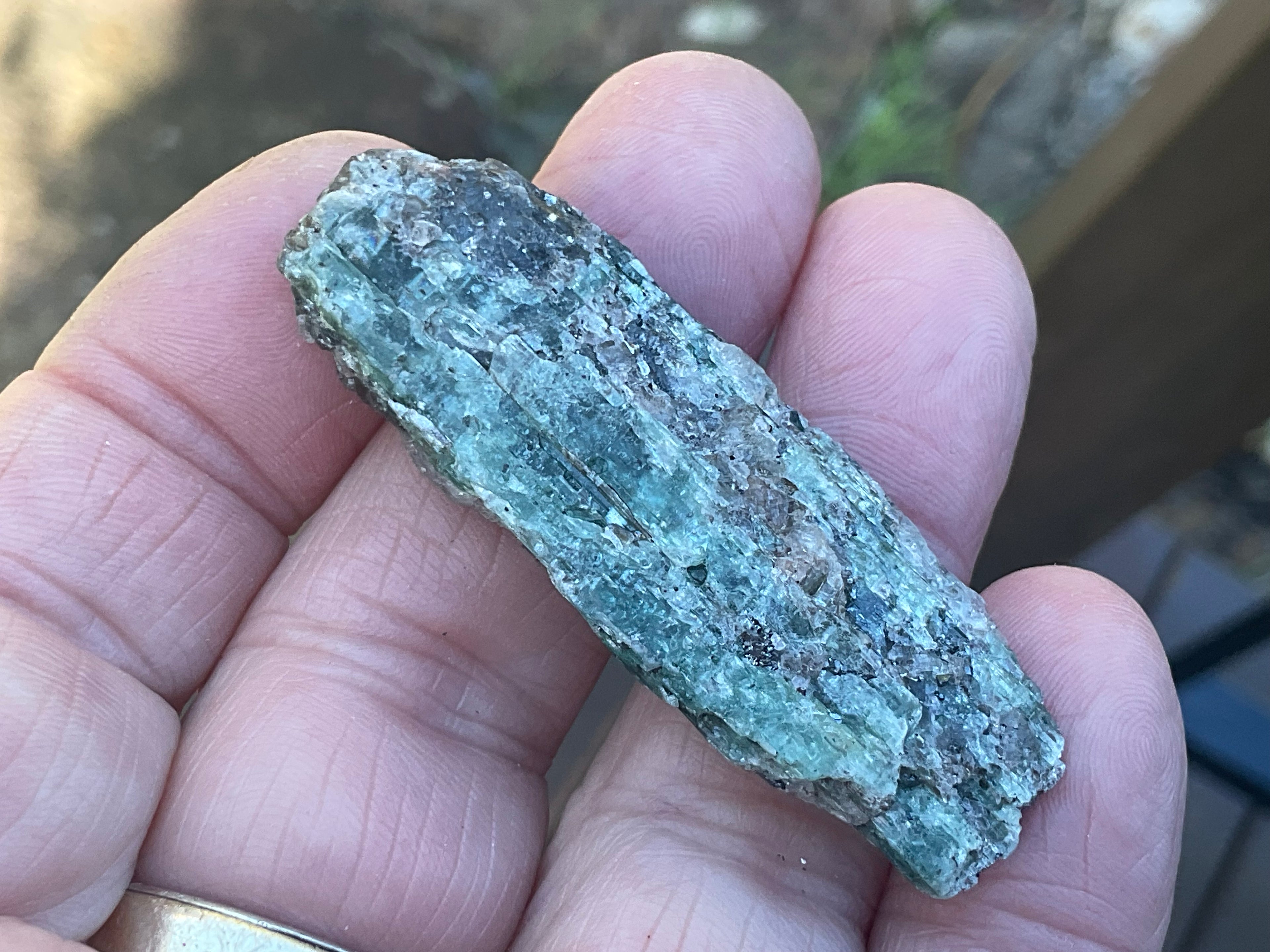 20g Dark Green Pakistan Kyanite + Rough 4C