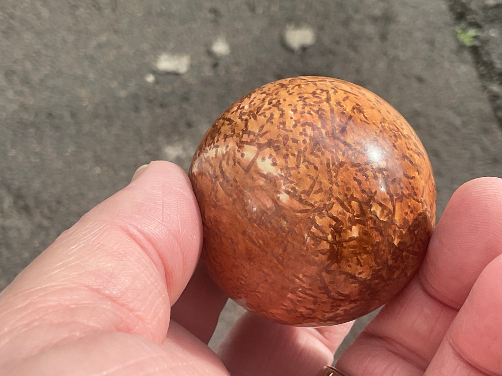144g “Wood Jasper” Sphere A