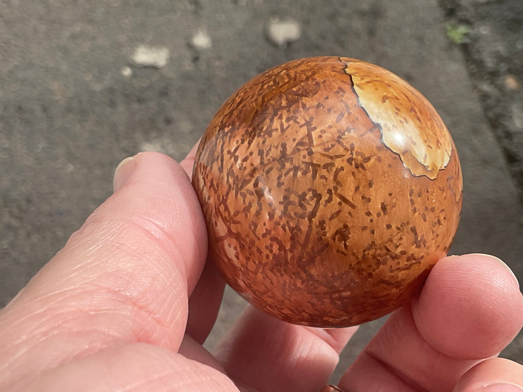 144g “Wood Jasper” Sphere A