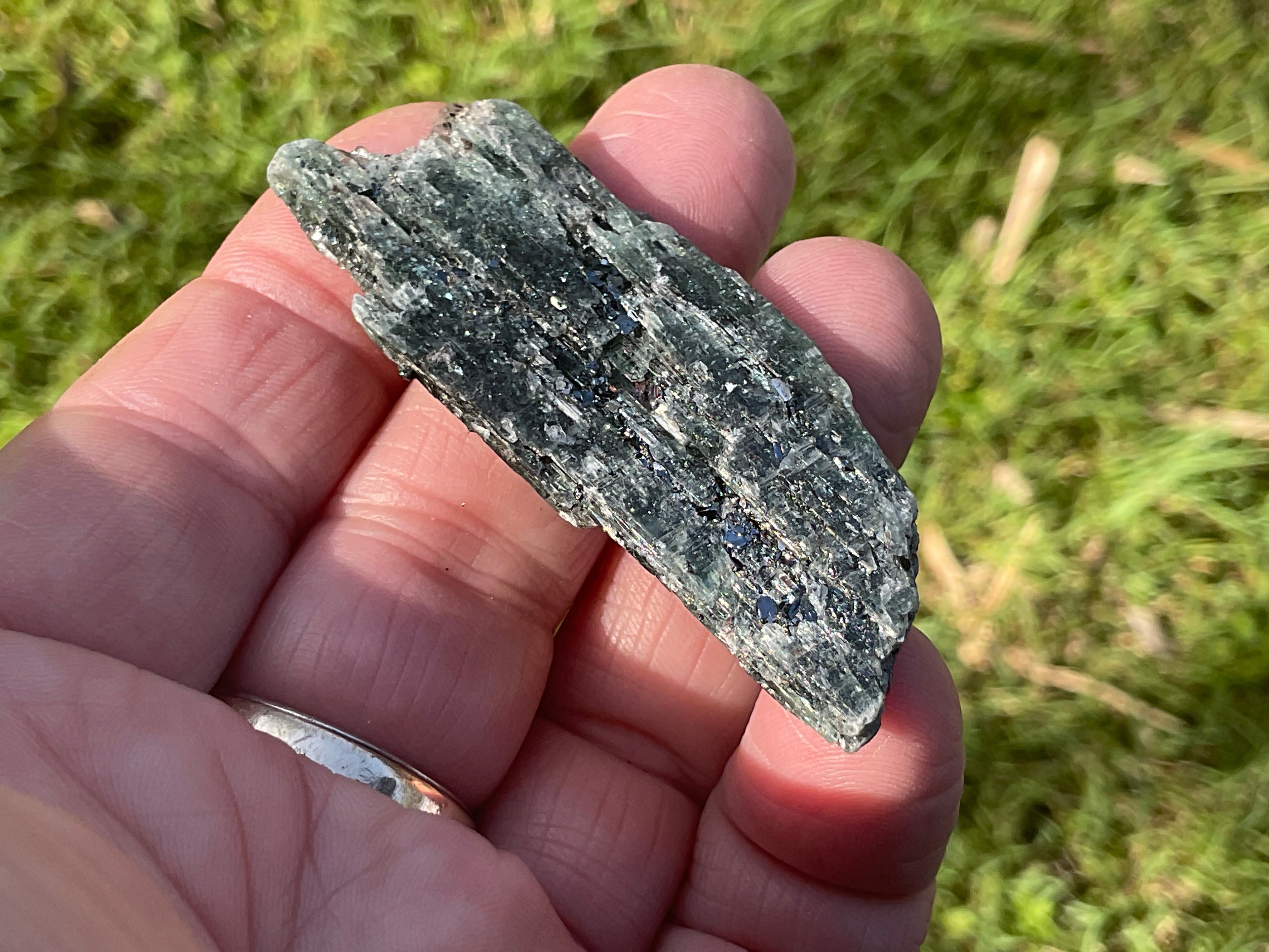 24g Dark Green Pakistan Kyanite + Rough 6A