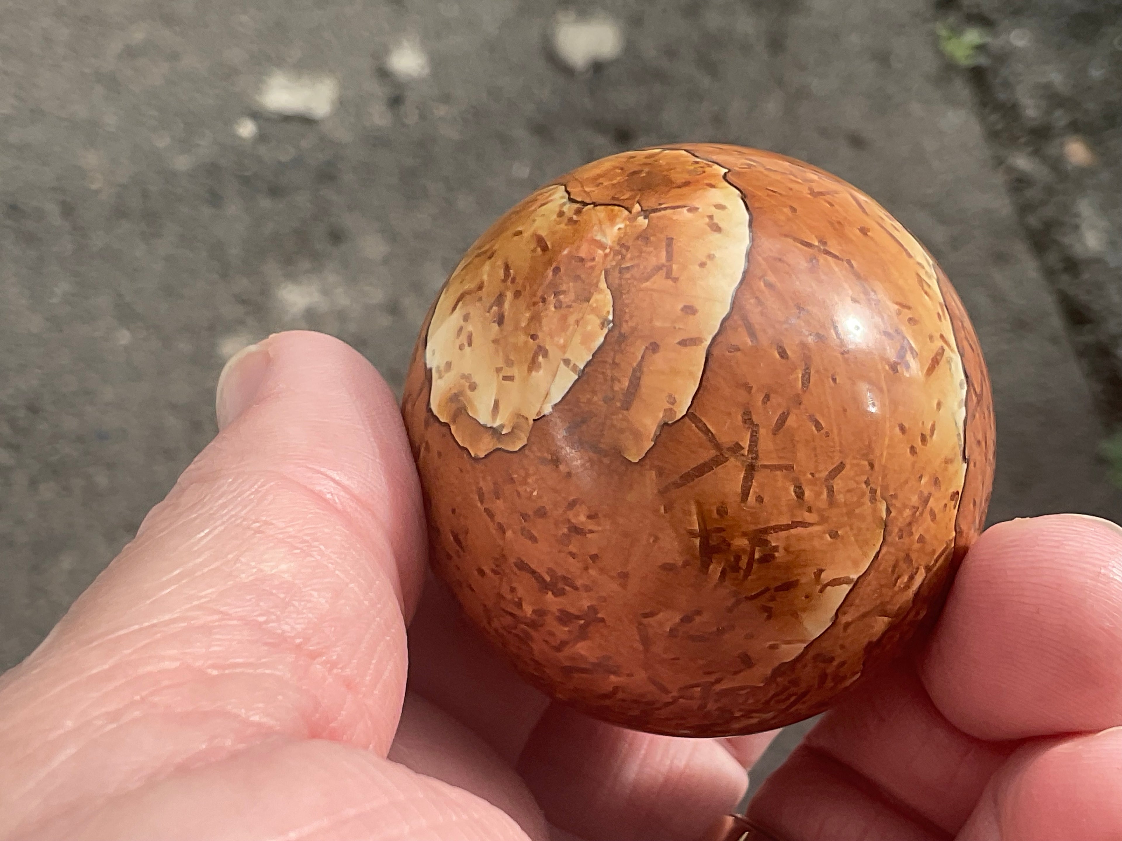 144g “Wood Jasper” Sphere A
