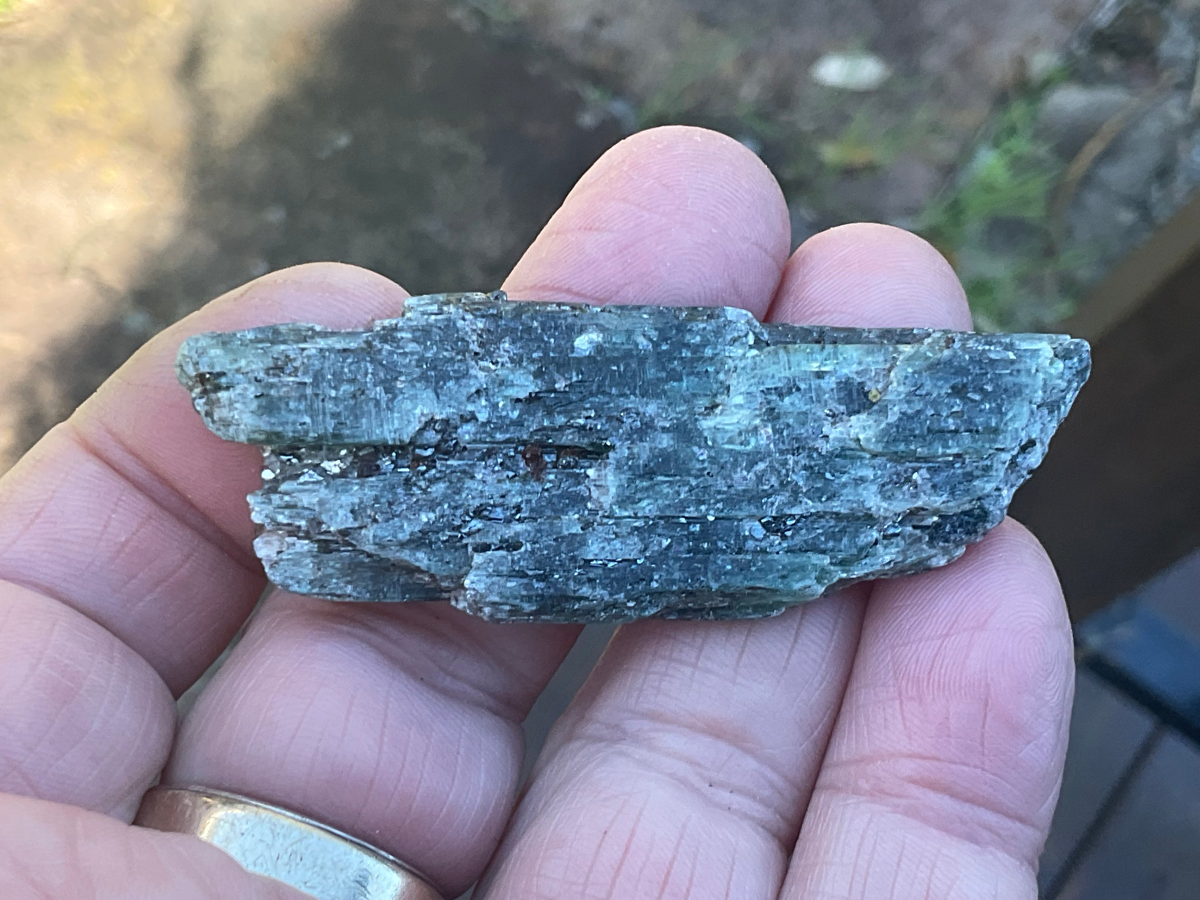 24g Dark Green Pakistan Kyanite + Rough 6A