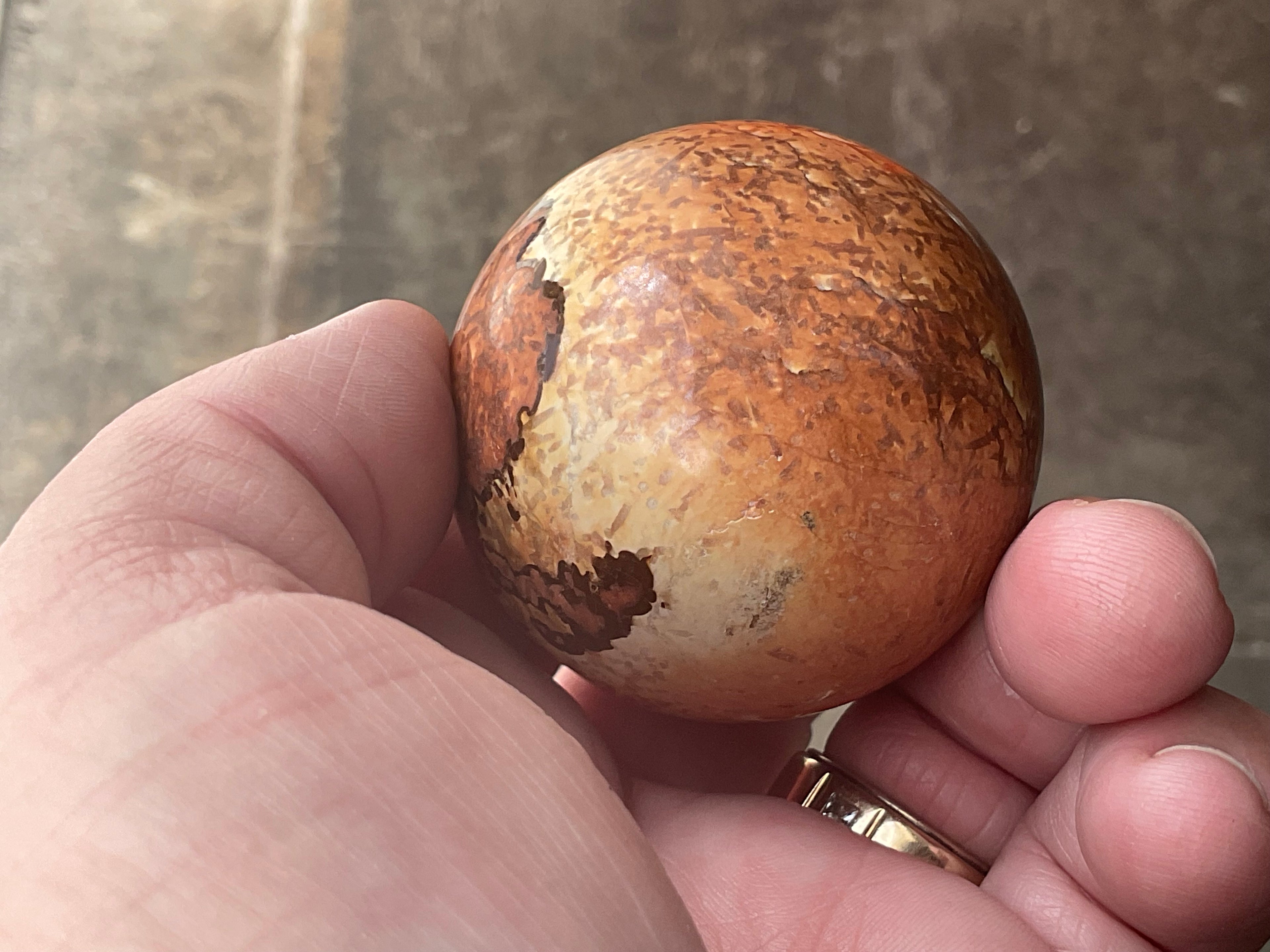 154g “Wood Jasper” Sphere C
