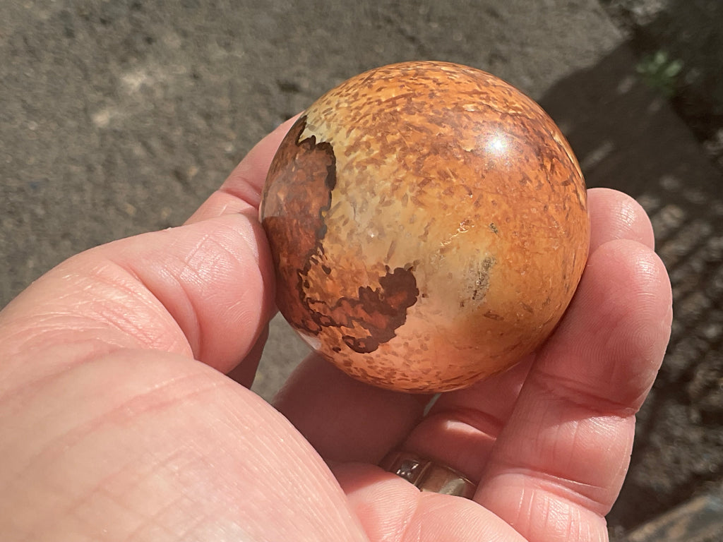 154g “Wood Jasper” Sphere C