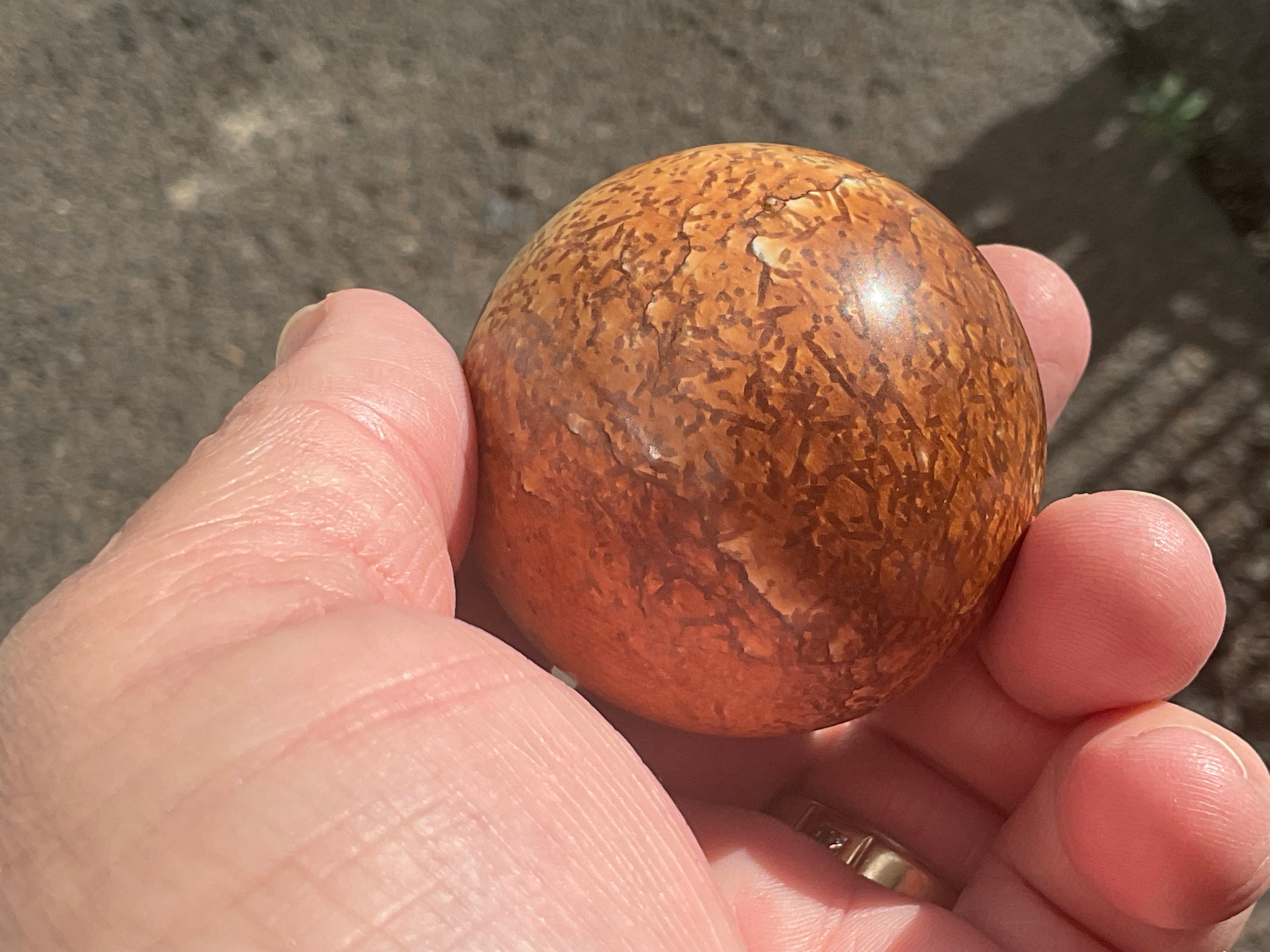154g “Wood Jasper” Sphere C