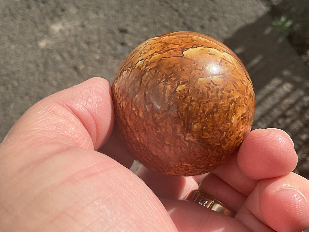 154g “Wood Jasper” Sphere C