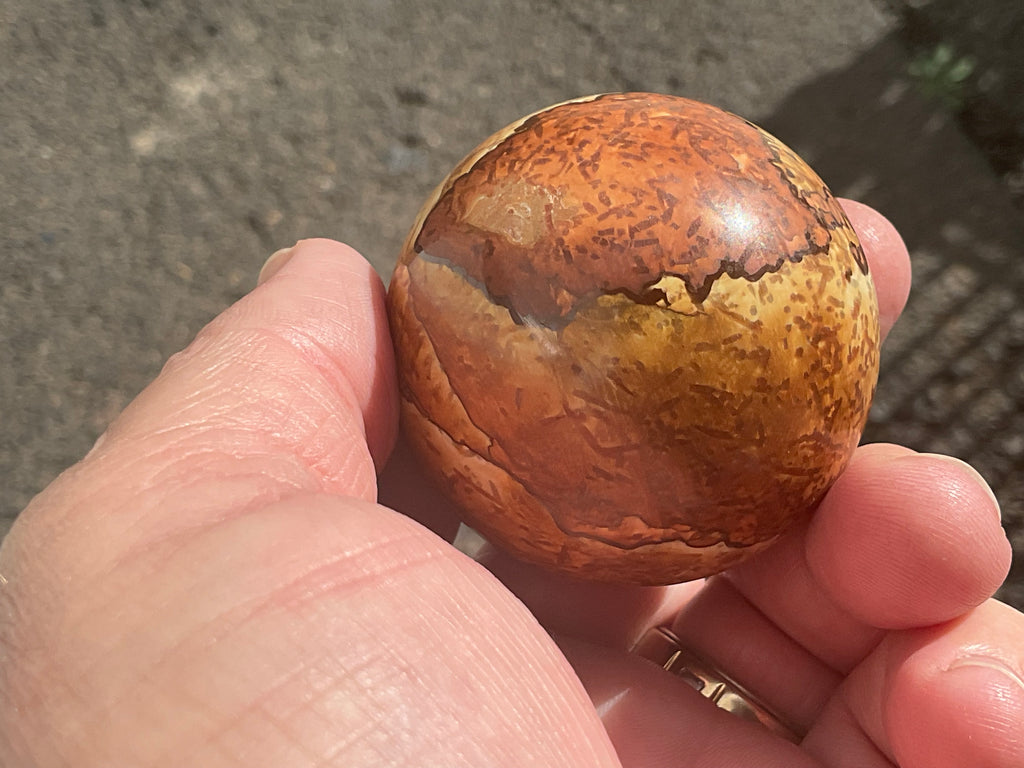 154g “Wood Jasper” Sphere C