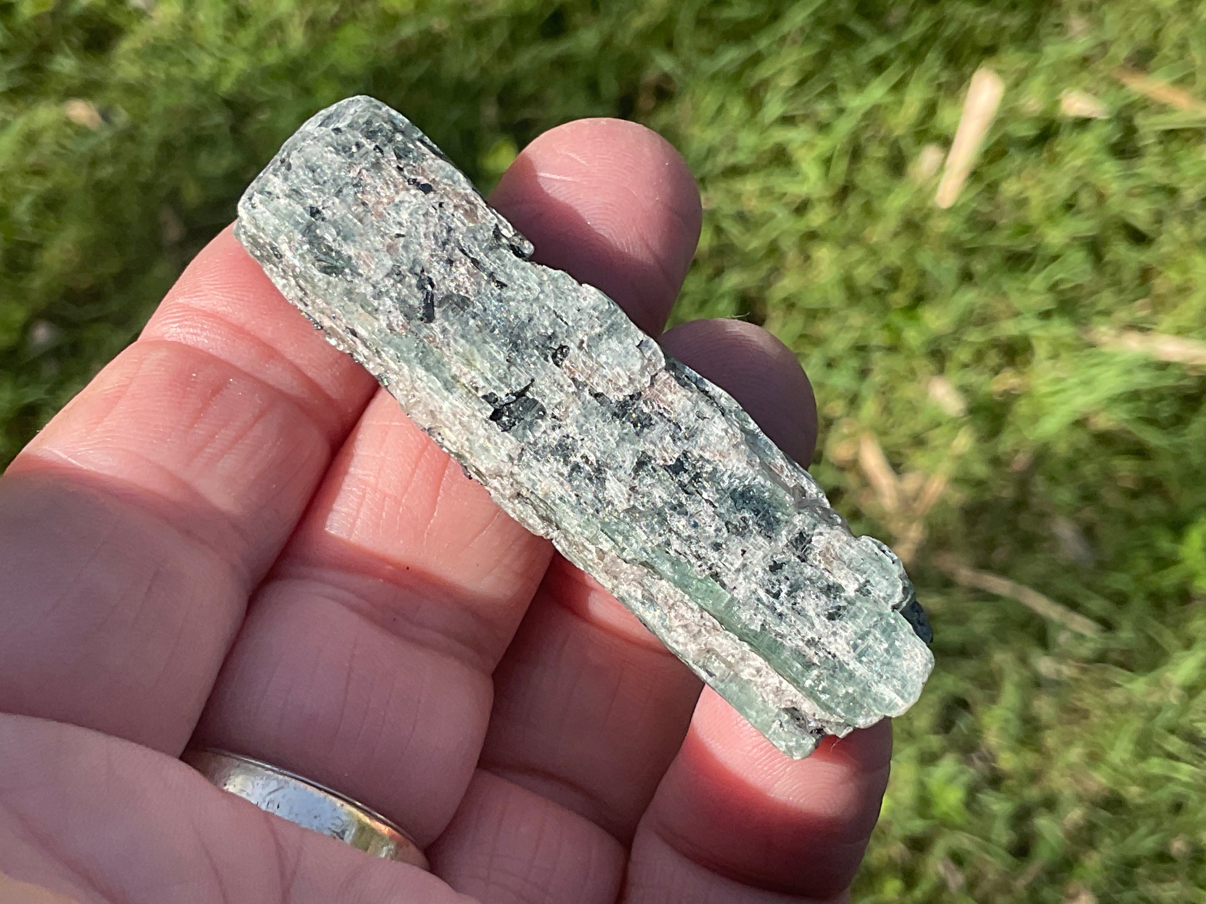 30g Dark Green Pakistan Kyanite + Rough 7B