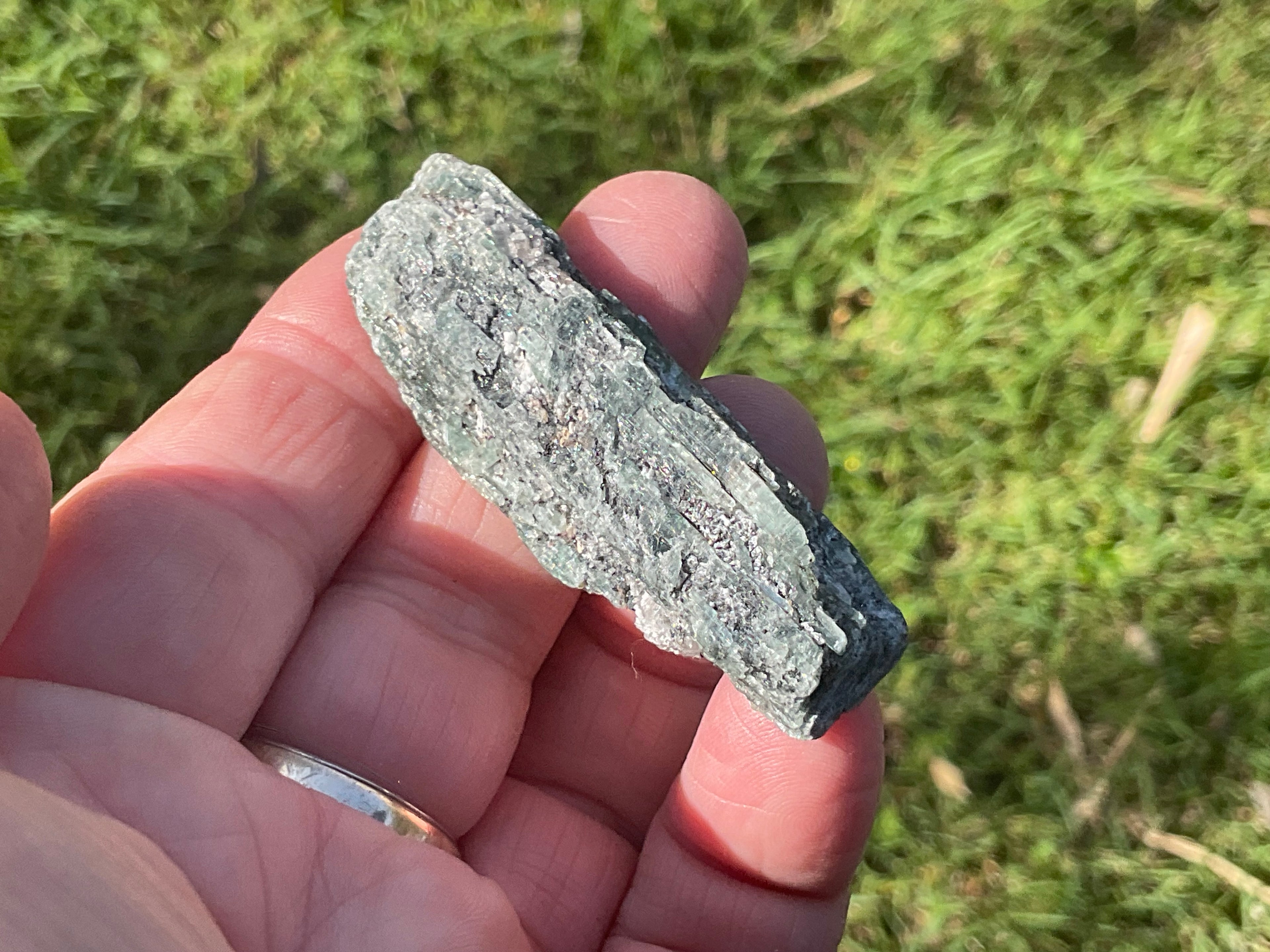 34g Dark Green Pakistan Kyanite + Rough 8C