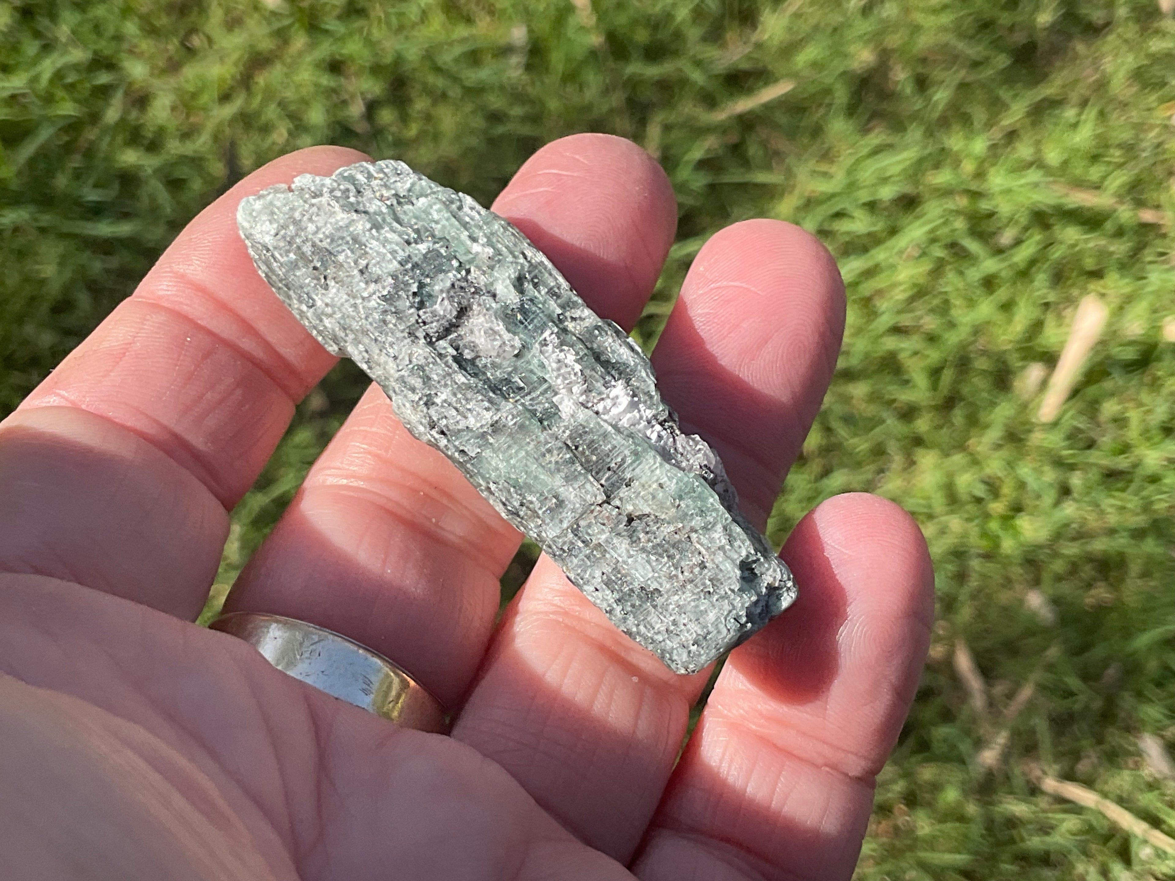34g Dark Green Pakistan Kyanite + Rough 8C