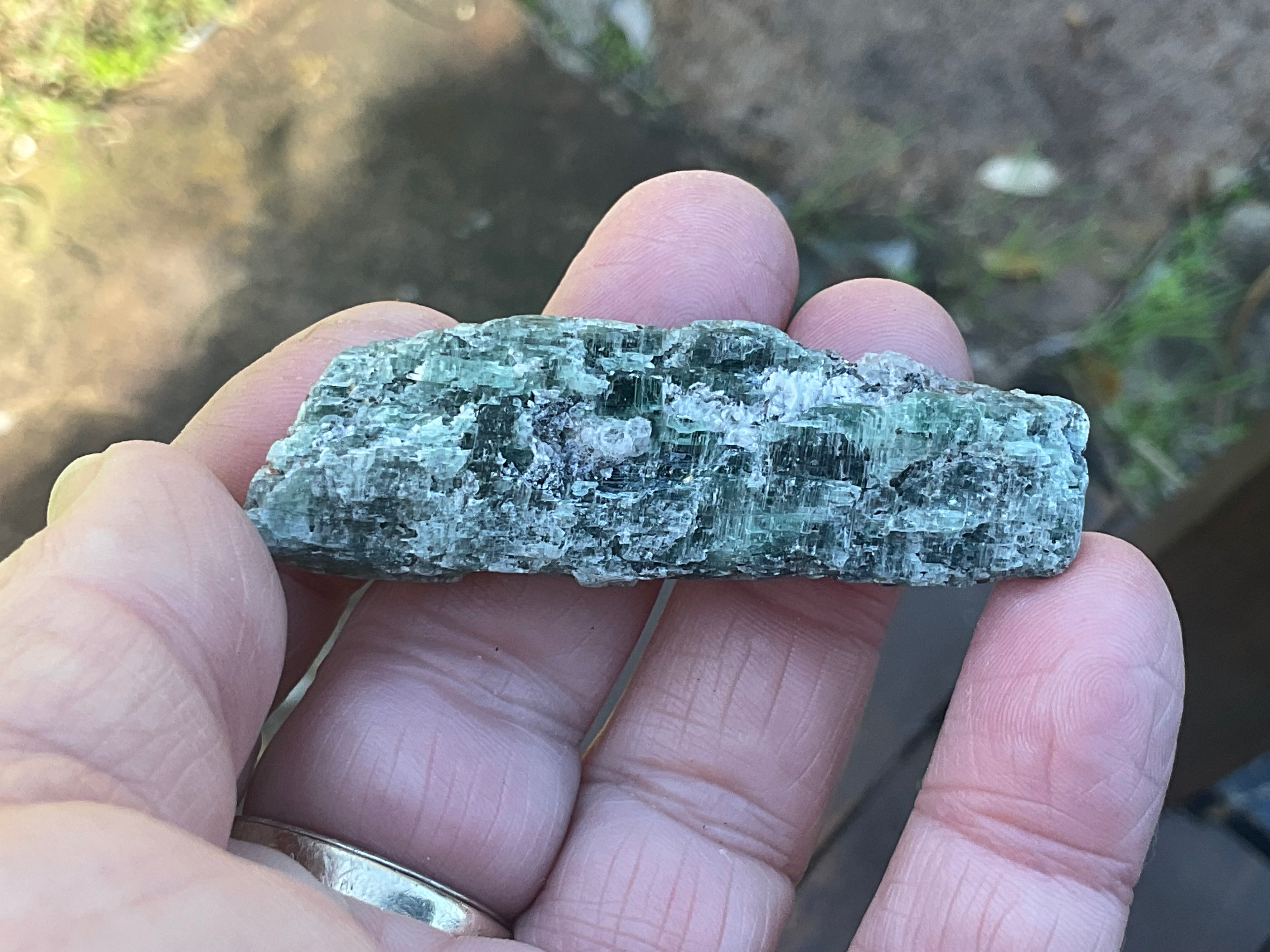 34g Dark Green Pakistan Kyanite + Rough 8C