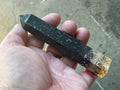 105g Indonesian Fossilized Palm Root Generator A