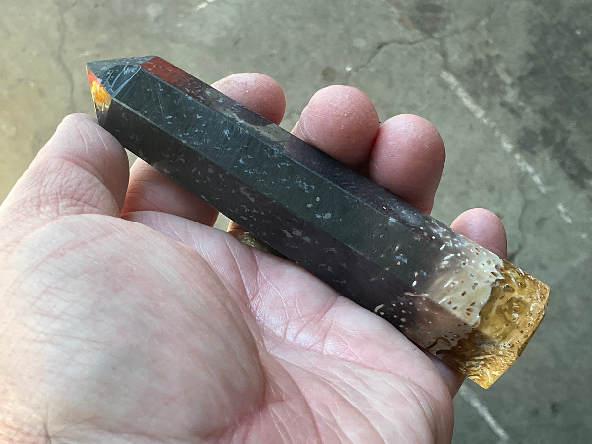 105g Indonesian Fossilized Palm Root Generator A