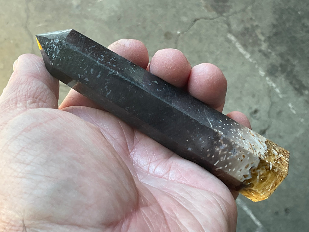 105g Indonesian Fossilized Palm Root Generator A