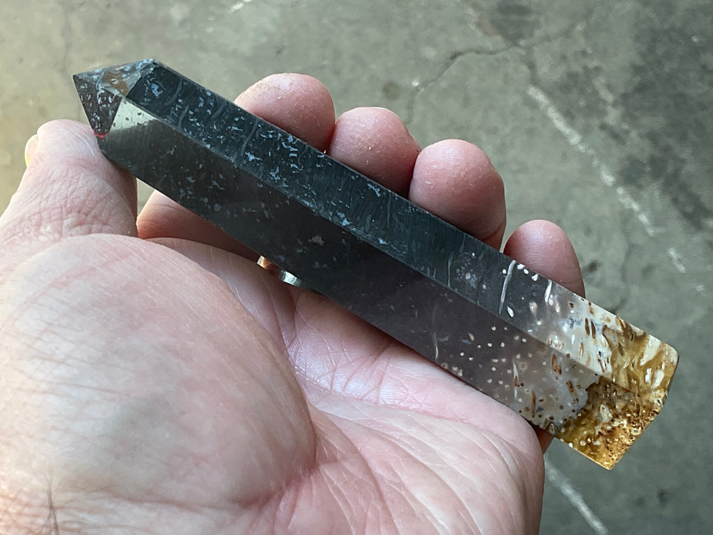 105g Indonesian Fossilized Palm Root Generator A
