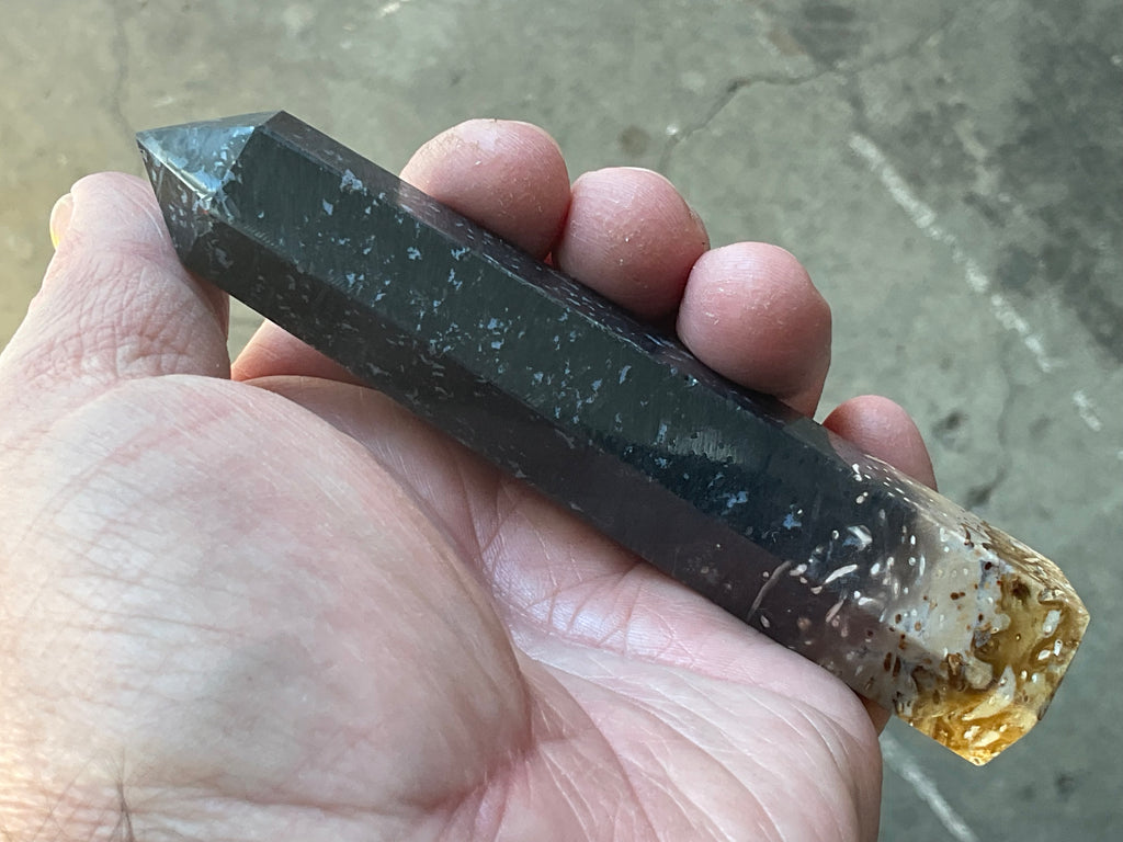 105g Indonesian Fossilized Palm Root Generator A