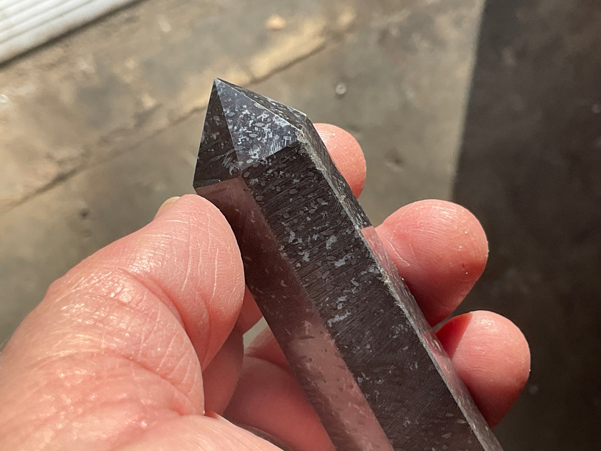 105g Indonesian Fossilized Palm Root Generator A