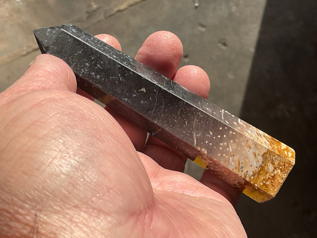 105g Indonesian Fossilized Palm Root Generator A