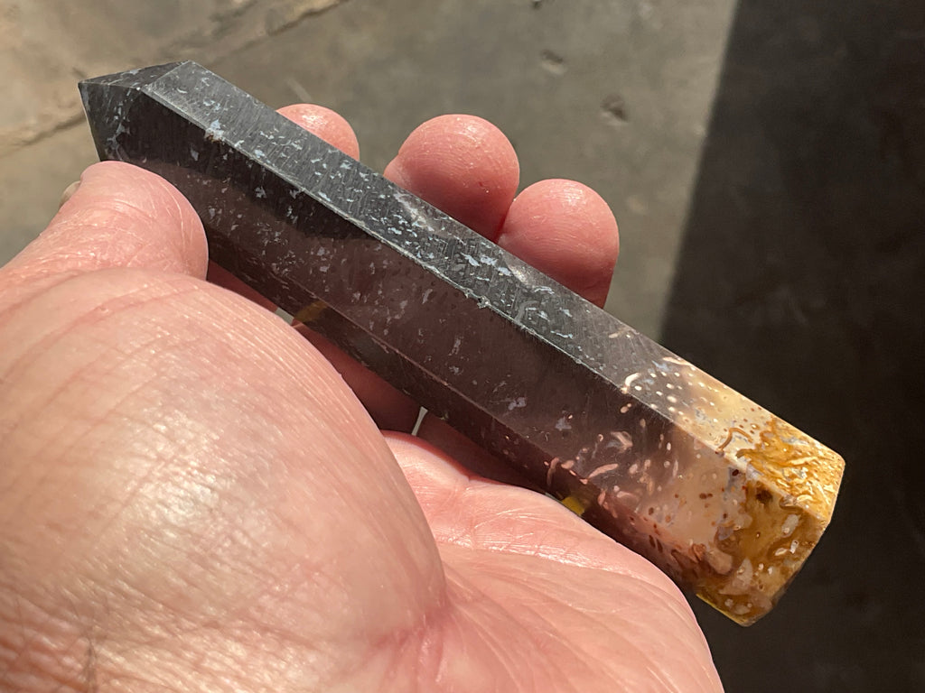 105g Indonesian Fossilized Palm Root Generator A